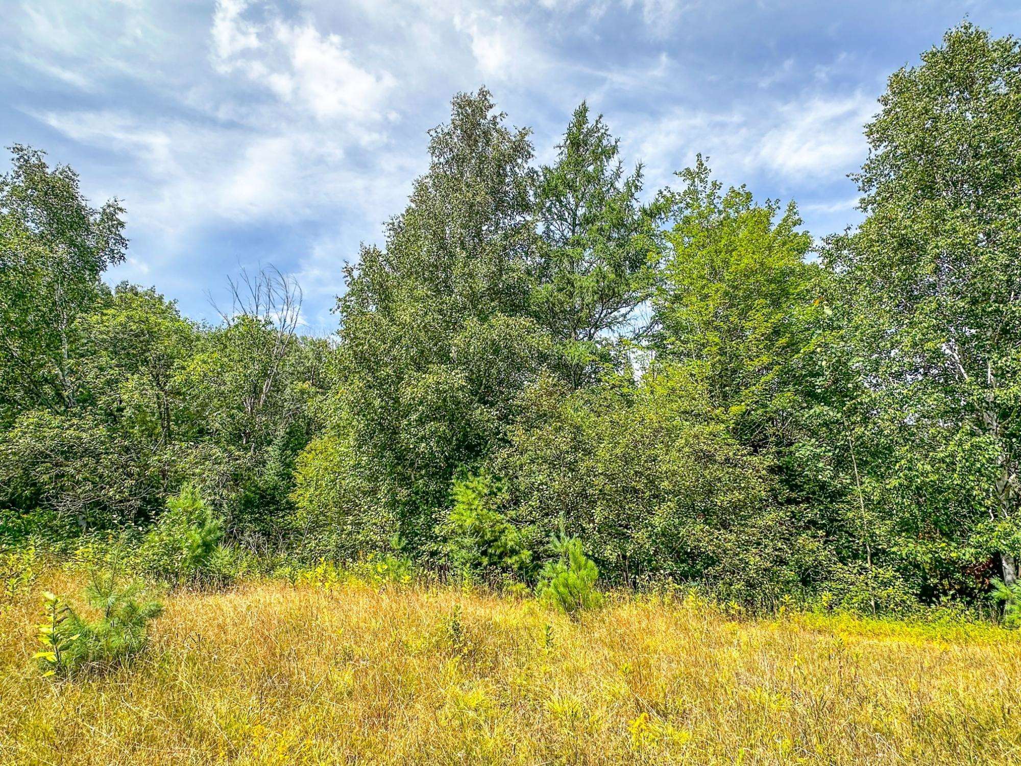 3 acres on DARLAKS BAY ROAD, Phillips, Wisconsin 54555, ,Land,For Sale,3 acres on DARLAKS BAY ROAD,22602215