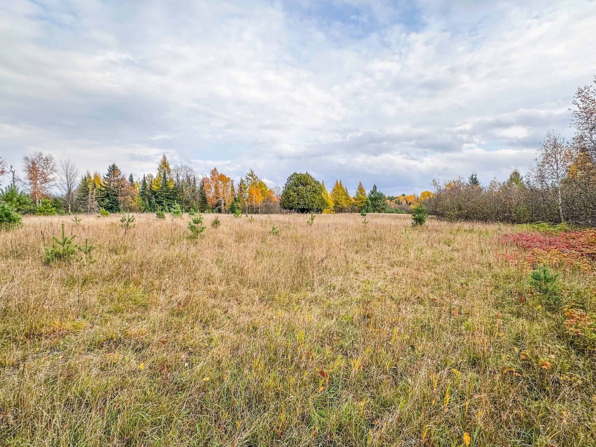 3 acres on DARLAKS BAY ROAD, Phillips, Wisconsin 54555, ,Land,For Sale,3 acres on DARLAKS BAY ROAD,22602215