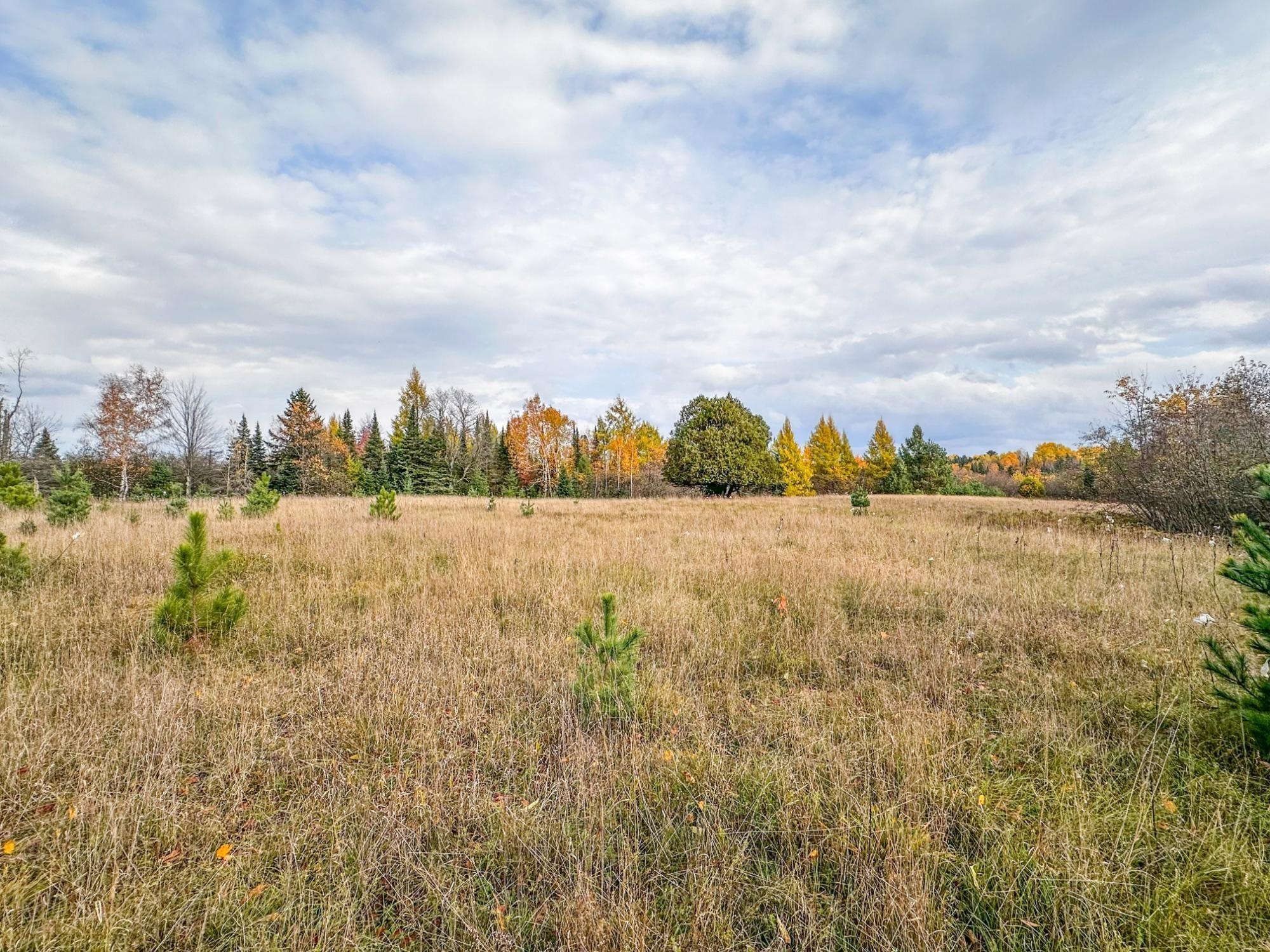 3 acres on DARLAKS BAY ROAD, Phillips, Wisconsin 54555, ,Land,For Sale,3 acres on DARLAKS BAY ROAD,22602215