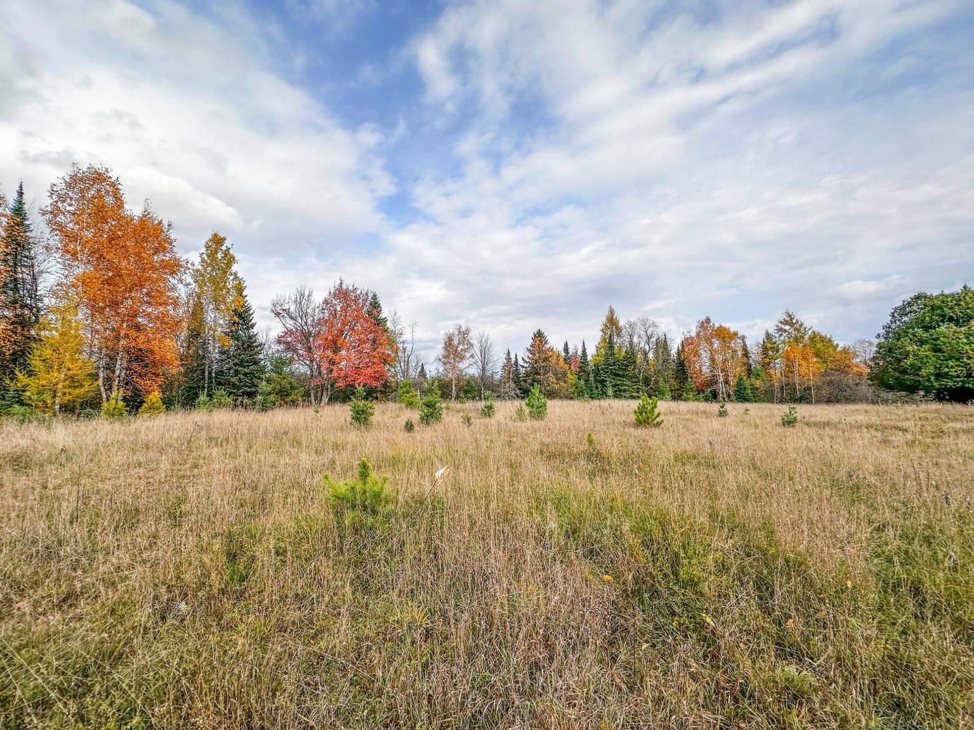 3 acres on DARLAKS BAY ROAD, Phillips, Wisconsin 54555, ,Land,For Sale,3 acres on DARLAKS BAY ROAD,22602215