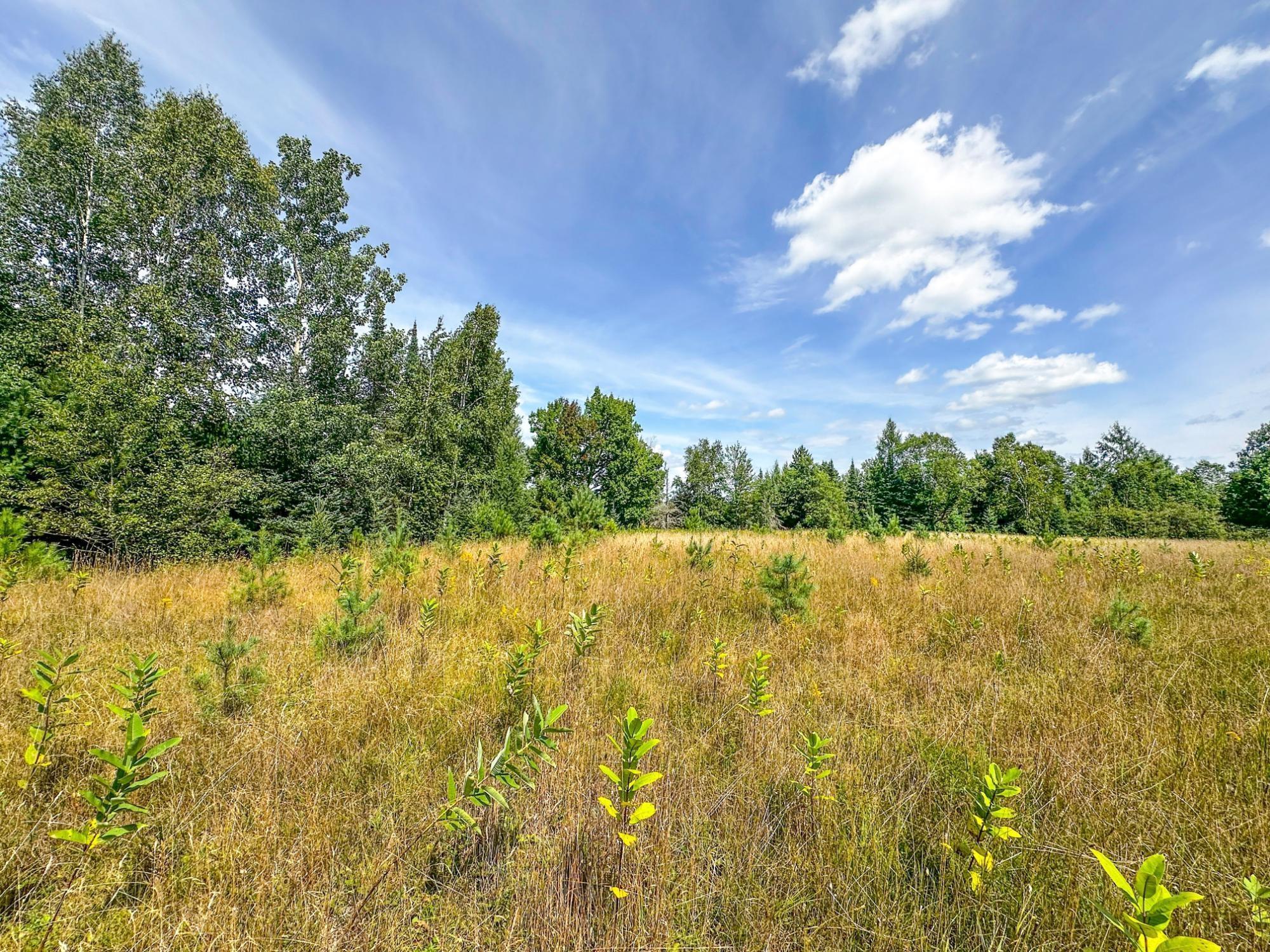 3 acres on DARLAKS BAY ROAD, Phillips, Wisconsin 54555, ,Land,For Sale,3 acres on DARLAKS BAY ROAD,22602215