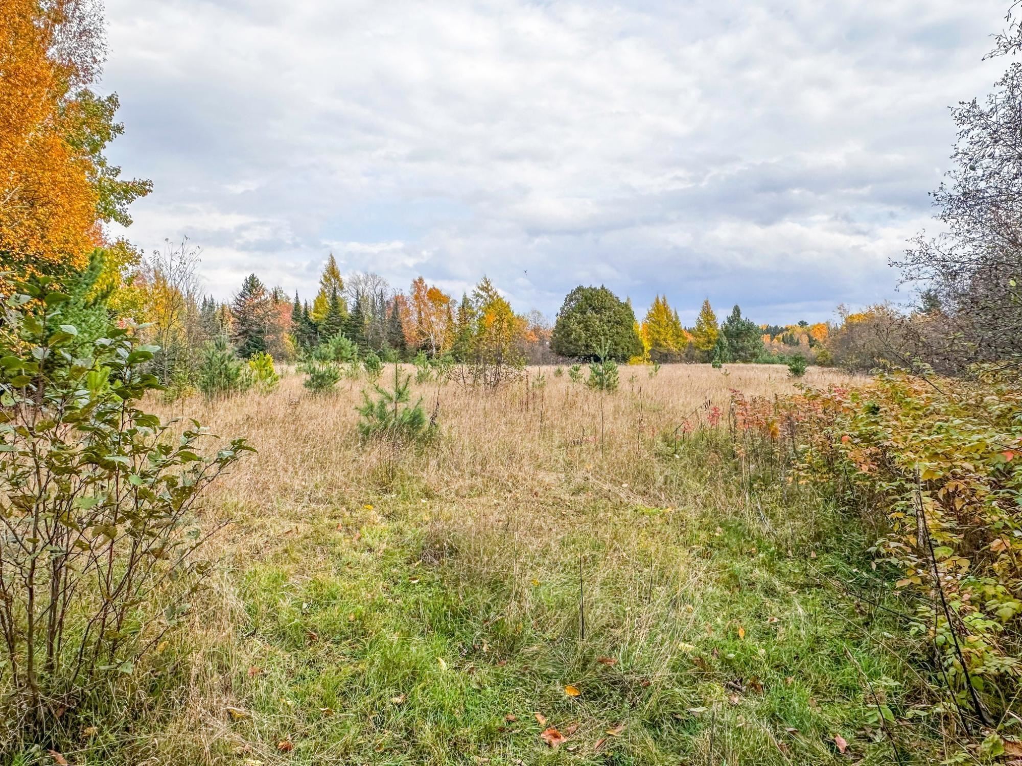 3 acres on DARLAKS BAY ROAD, Phillips, Wisconsin 54555, ,Land,For Sale,3 acres on DARLAKS BAY ROAD,22602215