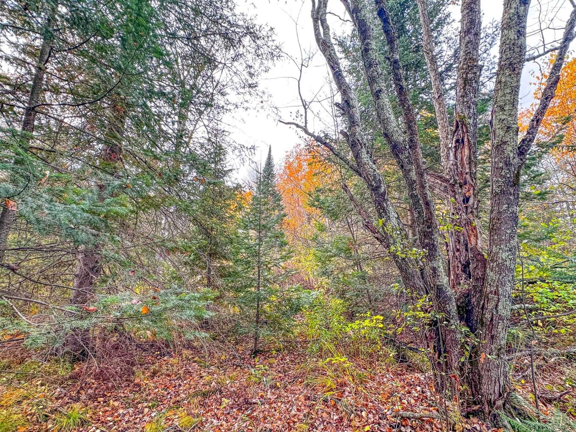 3 acres on DARLAKS BAY ROAD, Phillips, Wisconsin 54555, ,Land,For Sale,3 acres on DARLAKS BAY ROAD,22602215