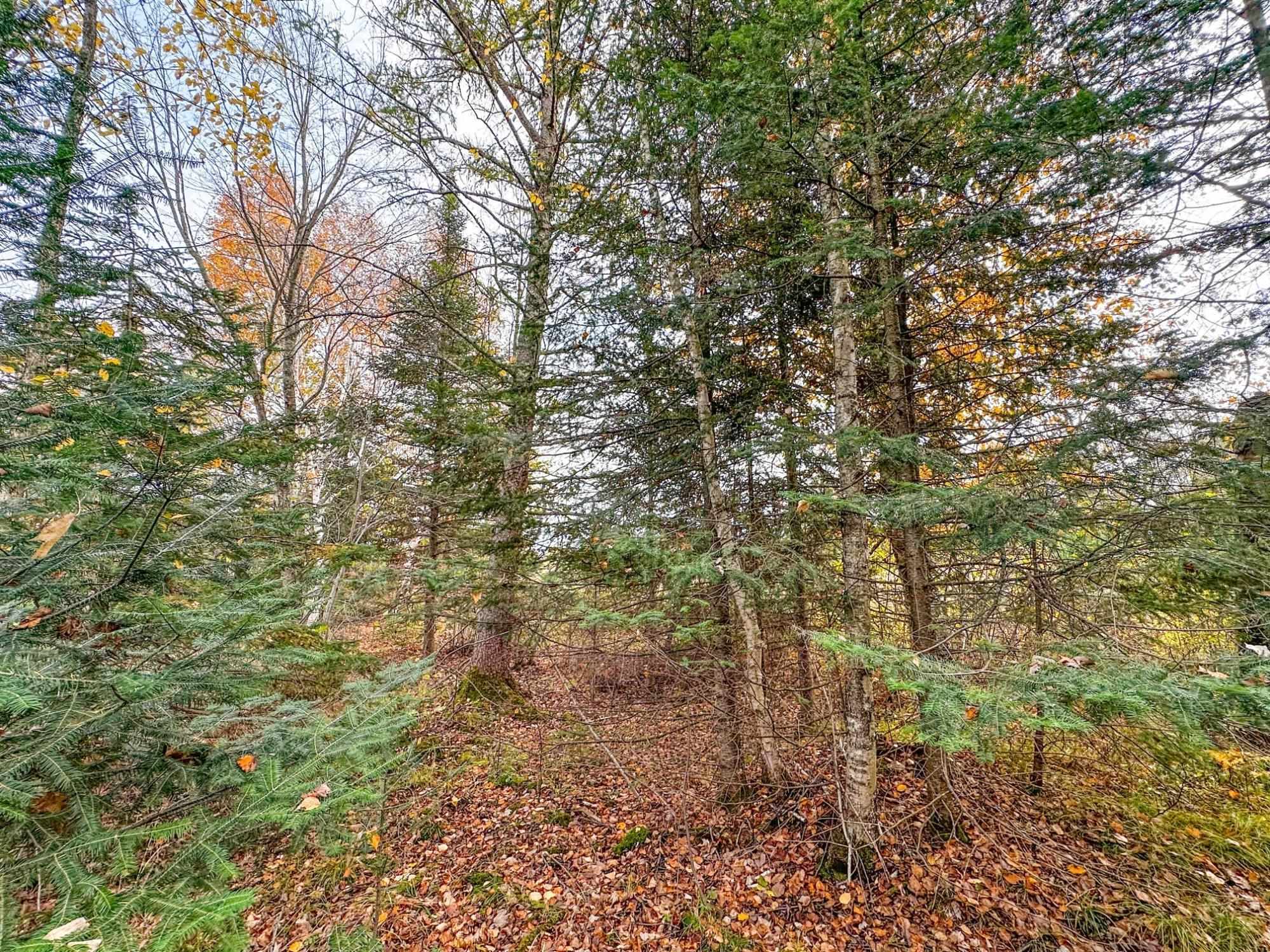 3 acres on DARLAKS BAY ROAD, Phillips, Wisconsin 54555, ,Land,For Sale,3 acres on DARLAKS BAY ROAD,22602215