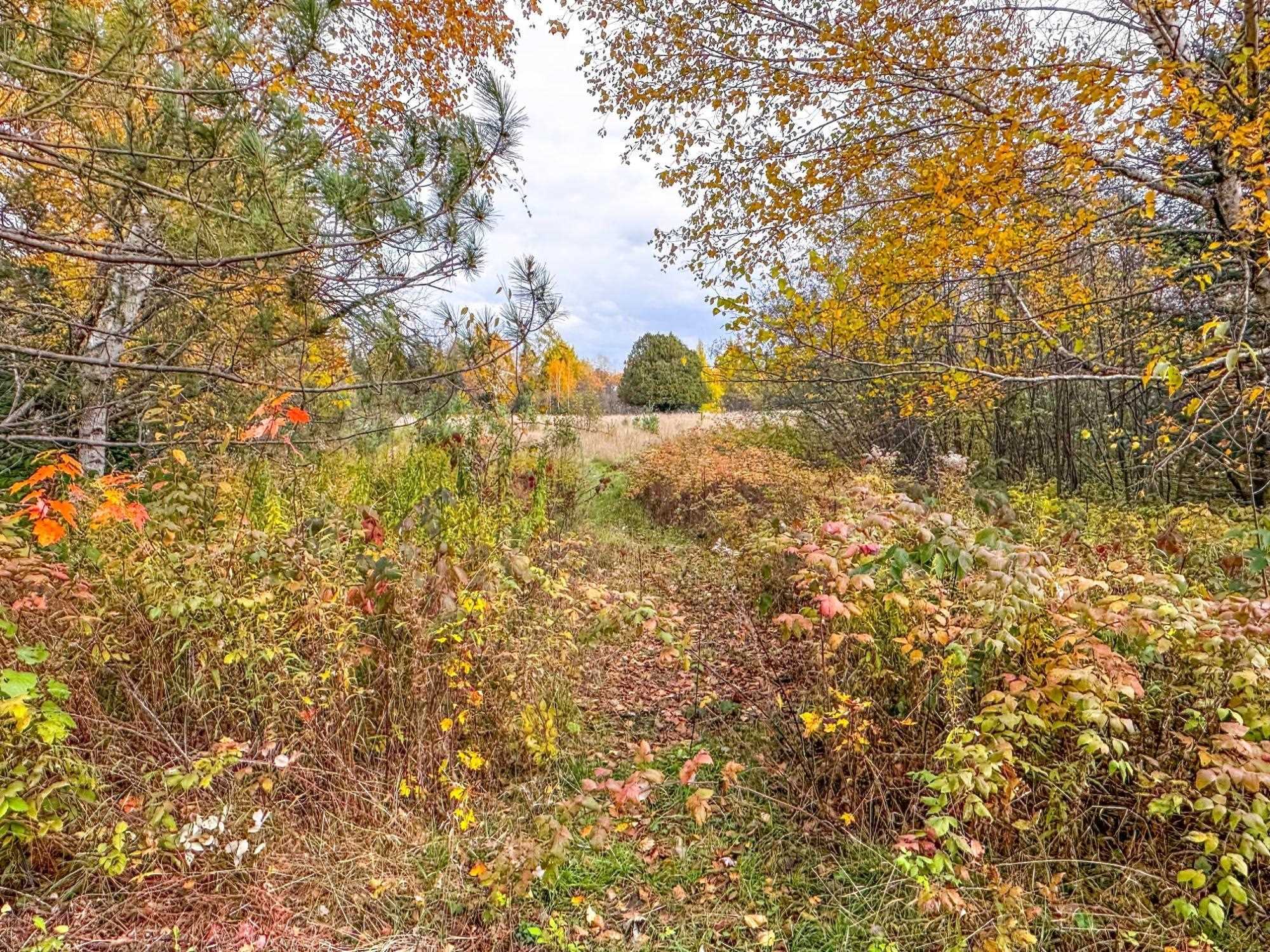 3 acres on DARLAKS BAY ROAD, Phillips, Wisconsin 54555, ,Land,For Sale,3 acres on DARLAKS BAY ROAD,22602215