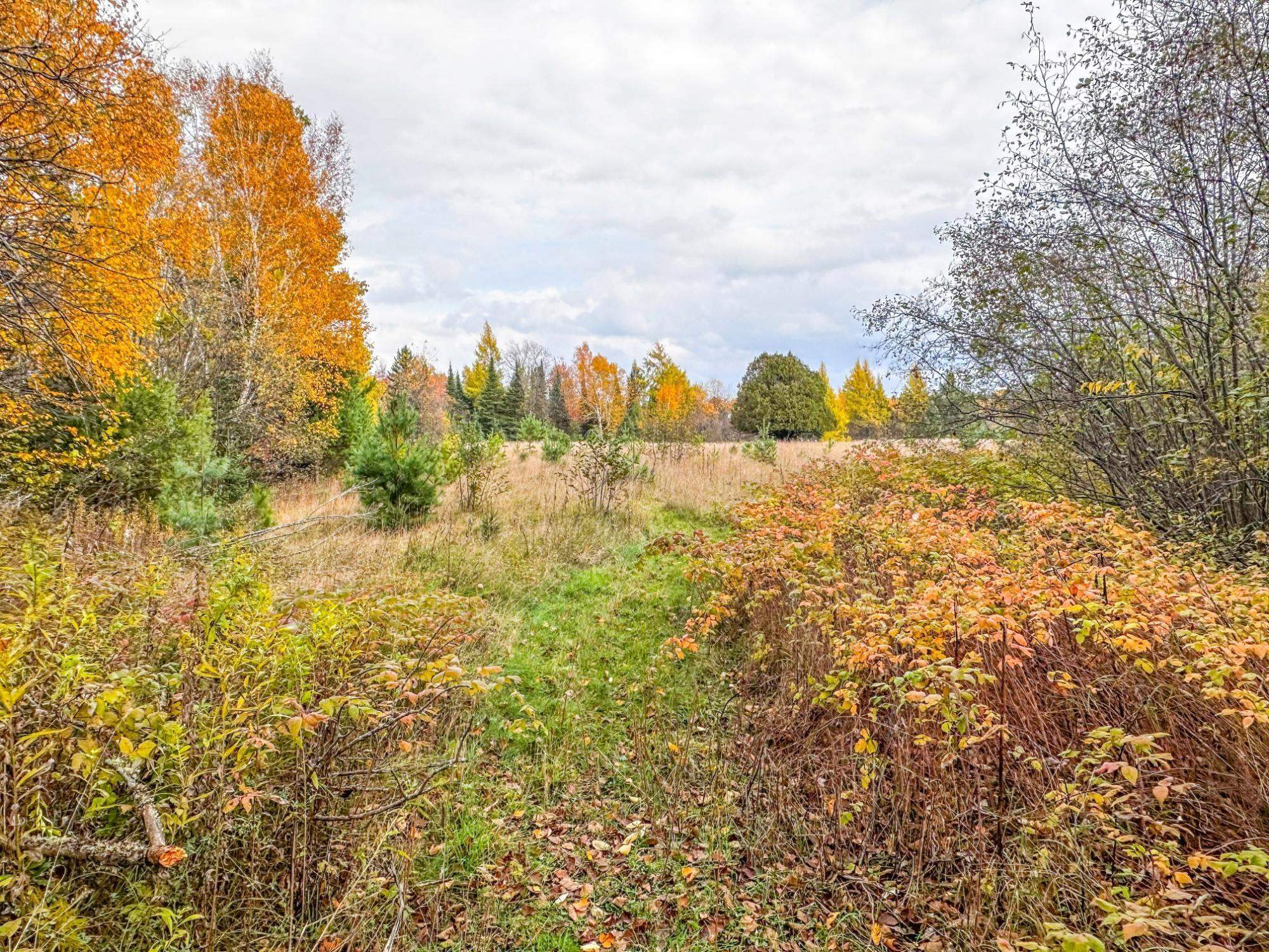 3 acres on DARLAKS BAY ROAD, Phillips, Wisconsin 54555, ,Land,For Sale,3 acres on DARLAKS BAY ROAD,22602215