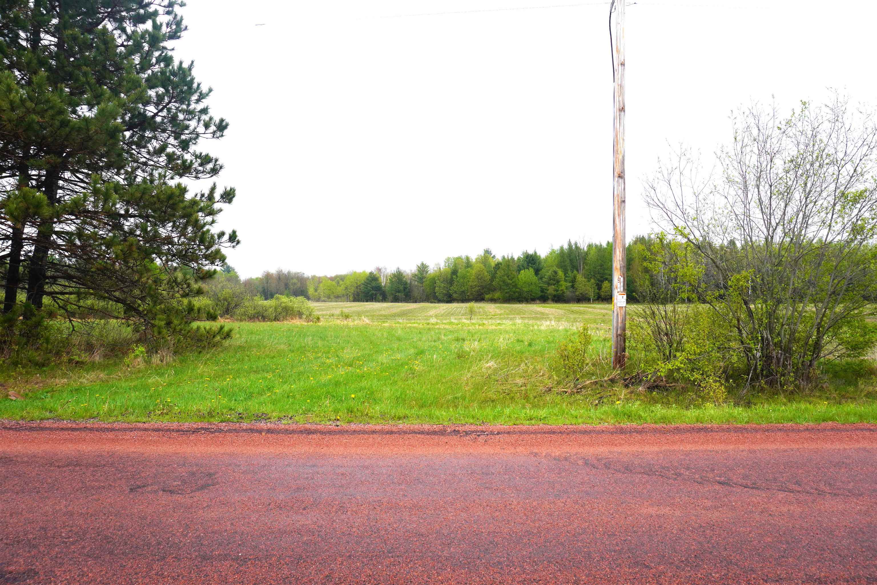 20 Acres BRADLEY STREET, Gleason, Wisconsin 54435, ,Land,For Sale,20 Acres BRADLEY STREET,22602218