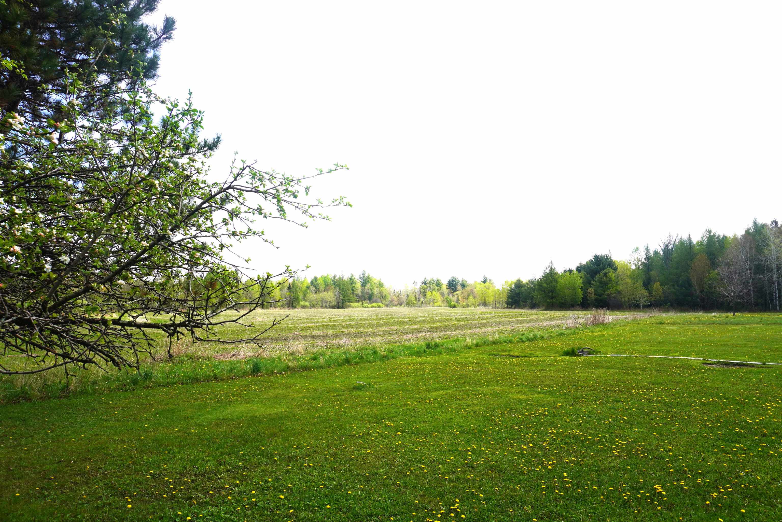 20 Acres BRADLEY STREET, Gleason, Wisconsin 54435, ,Land,For Sale,20 Acres BRADLEY STREET,22602218