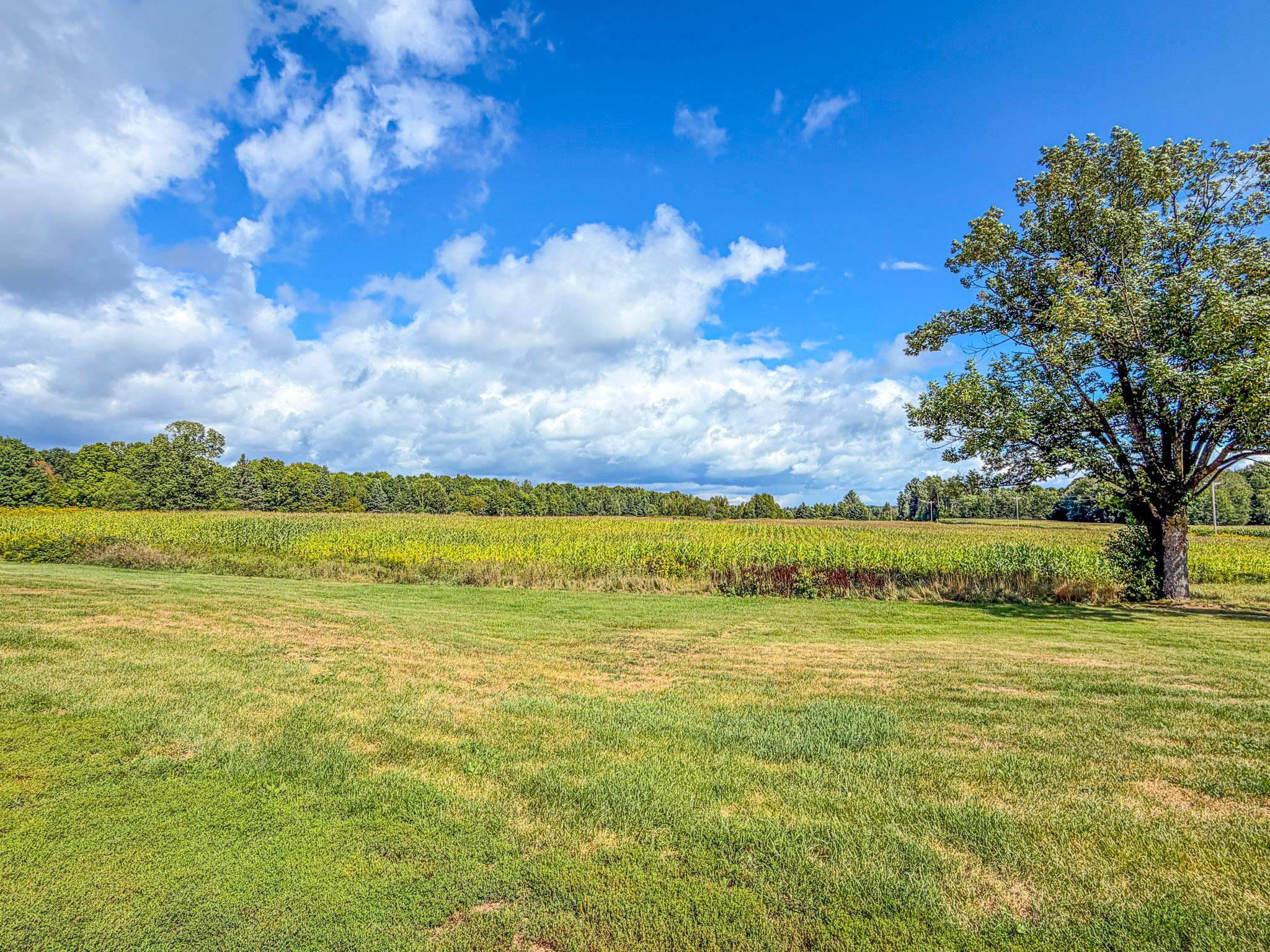 W6692 SPRINGS DRIVE, Phillips, Wisconsin 54555, 4 Bedrooms Bedrooms, ,2 BathroomsBathrooms,Residential,For Sale,W6692 SPRINGS DRIVE,22602225