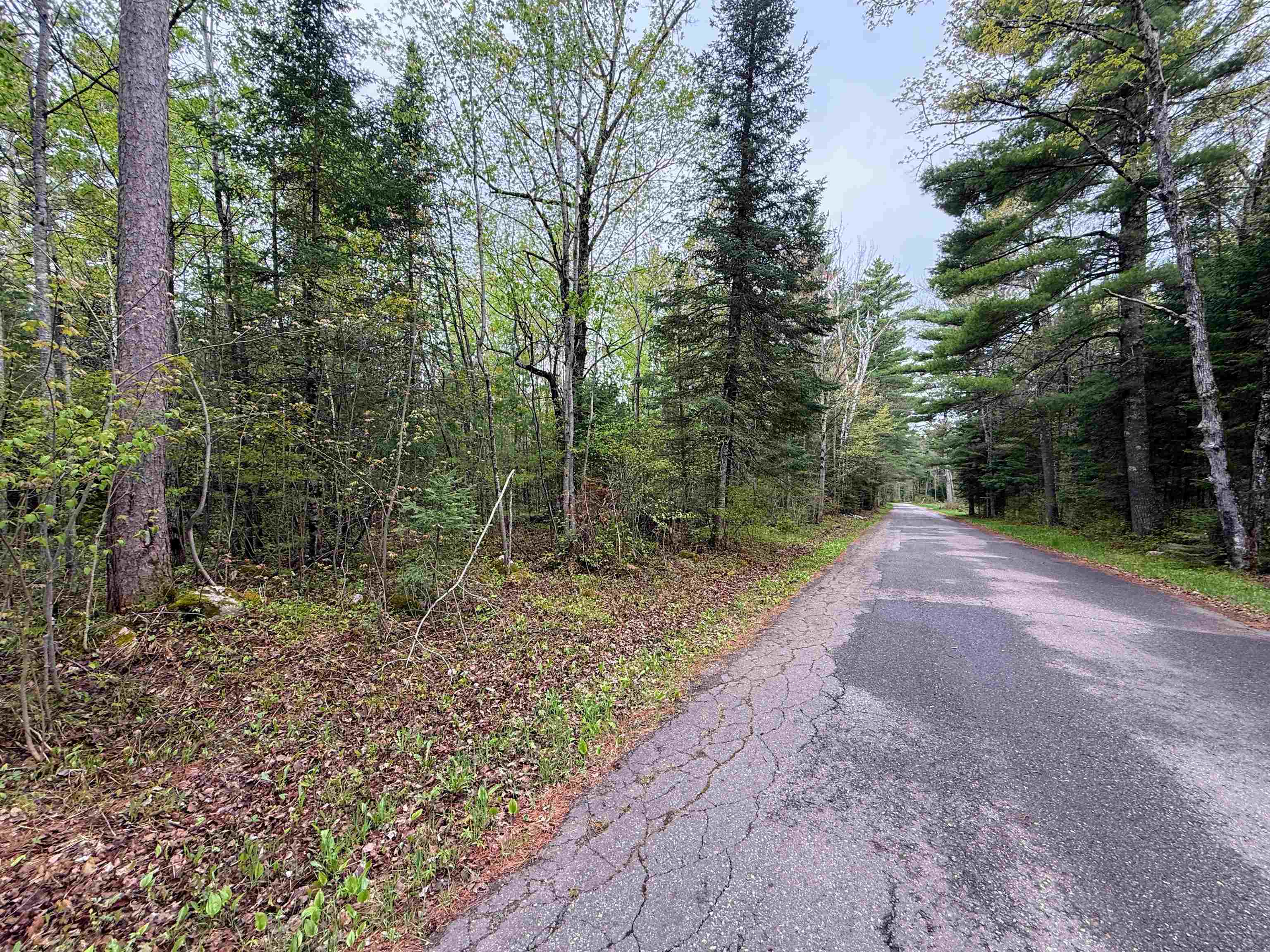 On BEARSKULL ROAD, Park Falls, Wisconsin 54552, ,Land,For Sale,On BEARSKULL ROAD,22602231