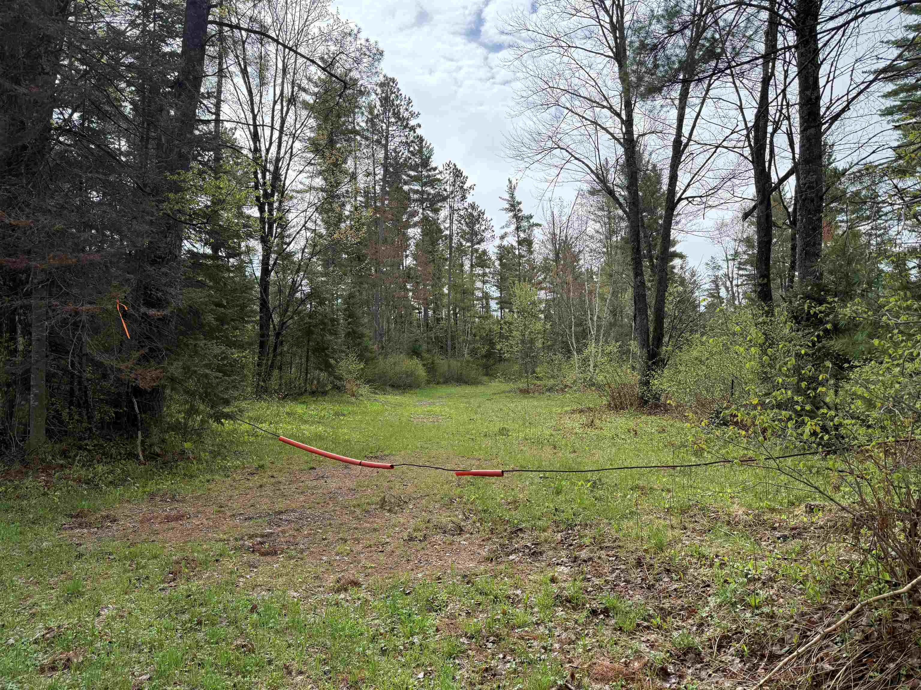 On BEARSKULL ROAD, Park Falls, Wisconsin 54552, ,Land,For Sale,On BEARSKULL ROAD,22602231
