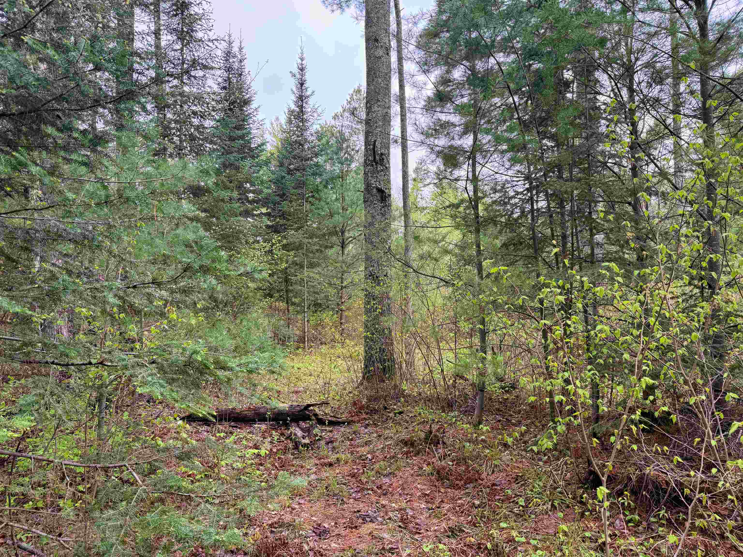 On BEARSKULL ROAD, Park Falls, Wisconsin 54552, ,Land,For Sale,On BEARSKULL ROAD,22602231
