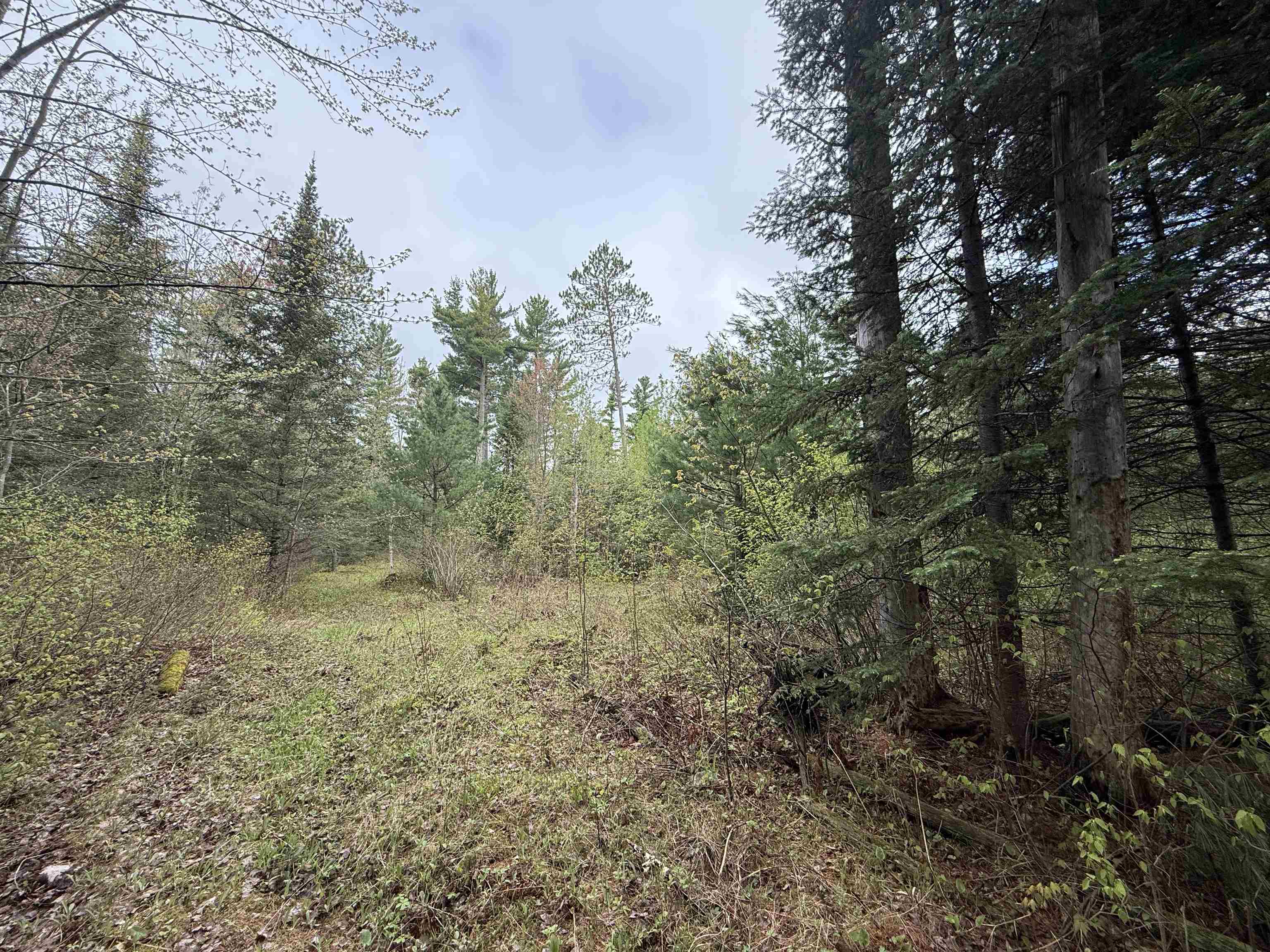 On BEARSKULL ROAD, Park Falls, Wisconsin 54552, ,Land,For Sale,On BEARSKULL ROAD,22602231