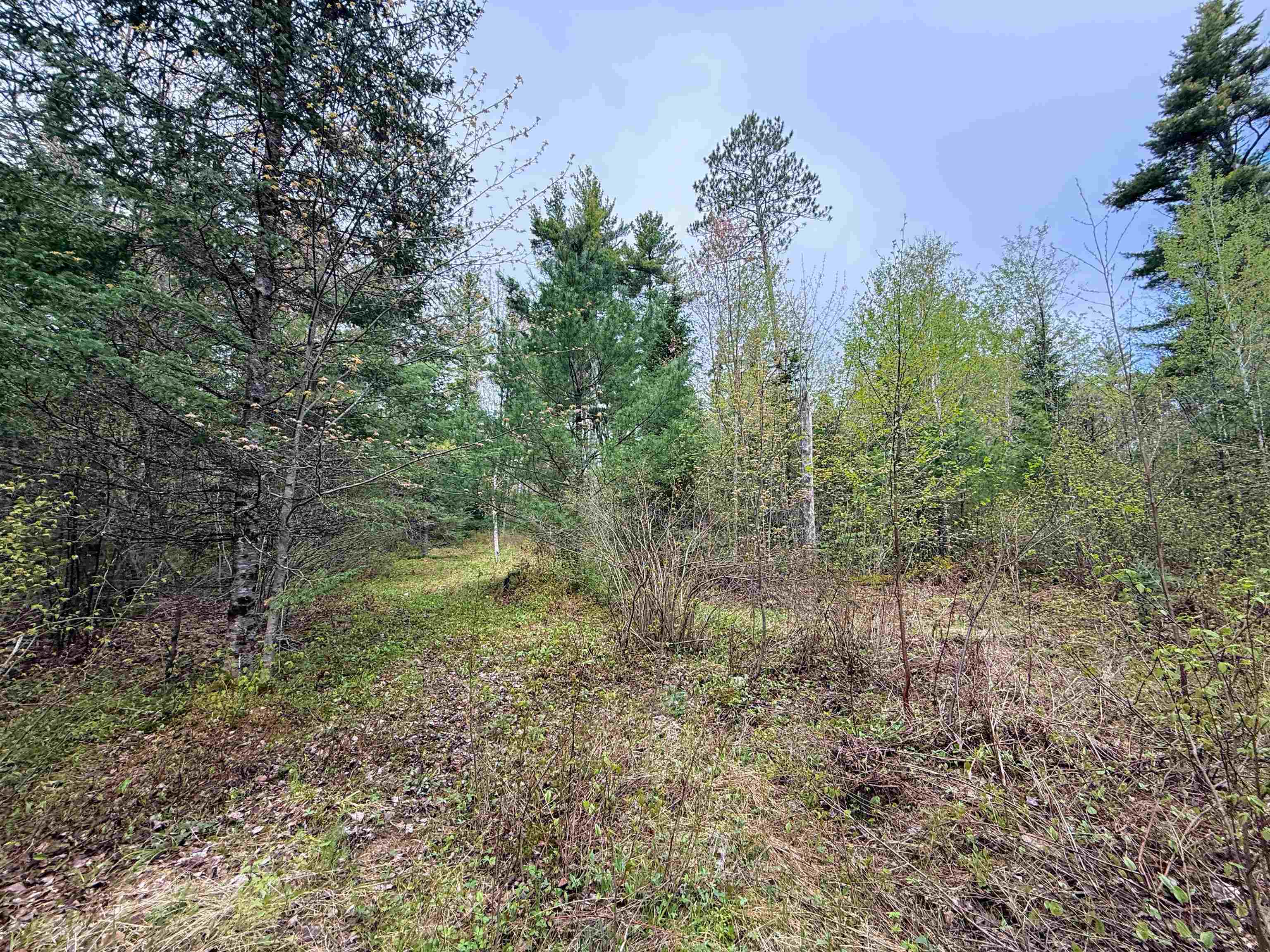 On BEARSKULL ROAD, Park Falls, Wisconsin 54552, ,Land,For Sale,On BEARSKULL ROAD,22602231