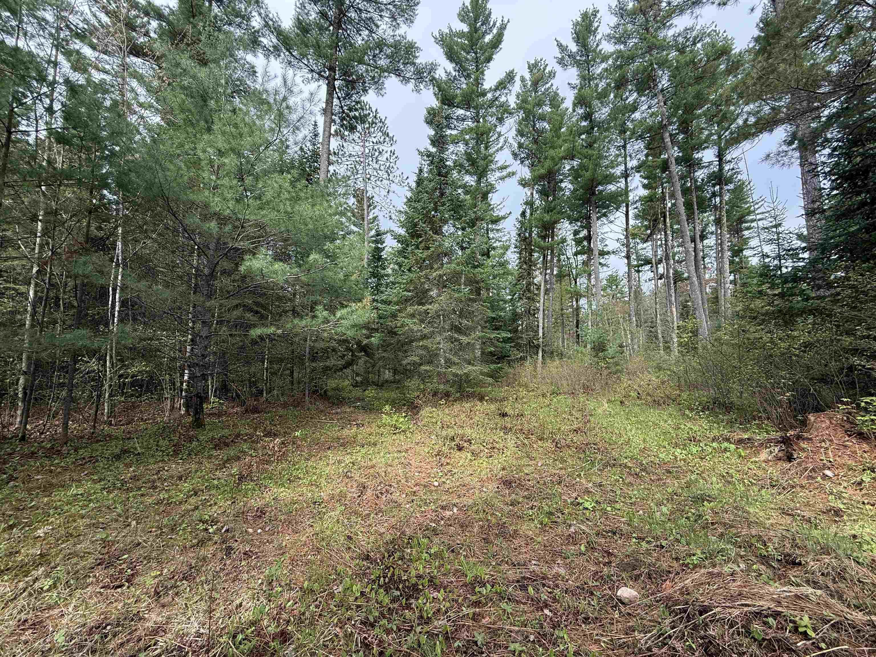 On BEARSKULL ROAD, Park Falls, Wisconsin 54552, ,Land,For Sale,On BEARSKULL ROAD,22602231