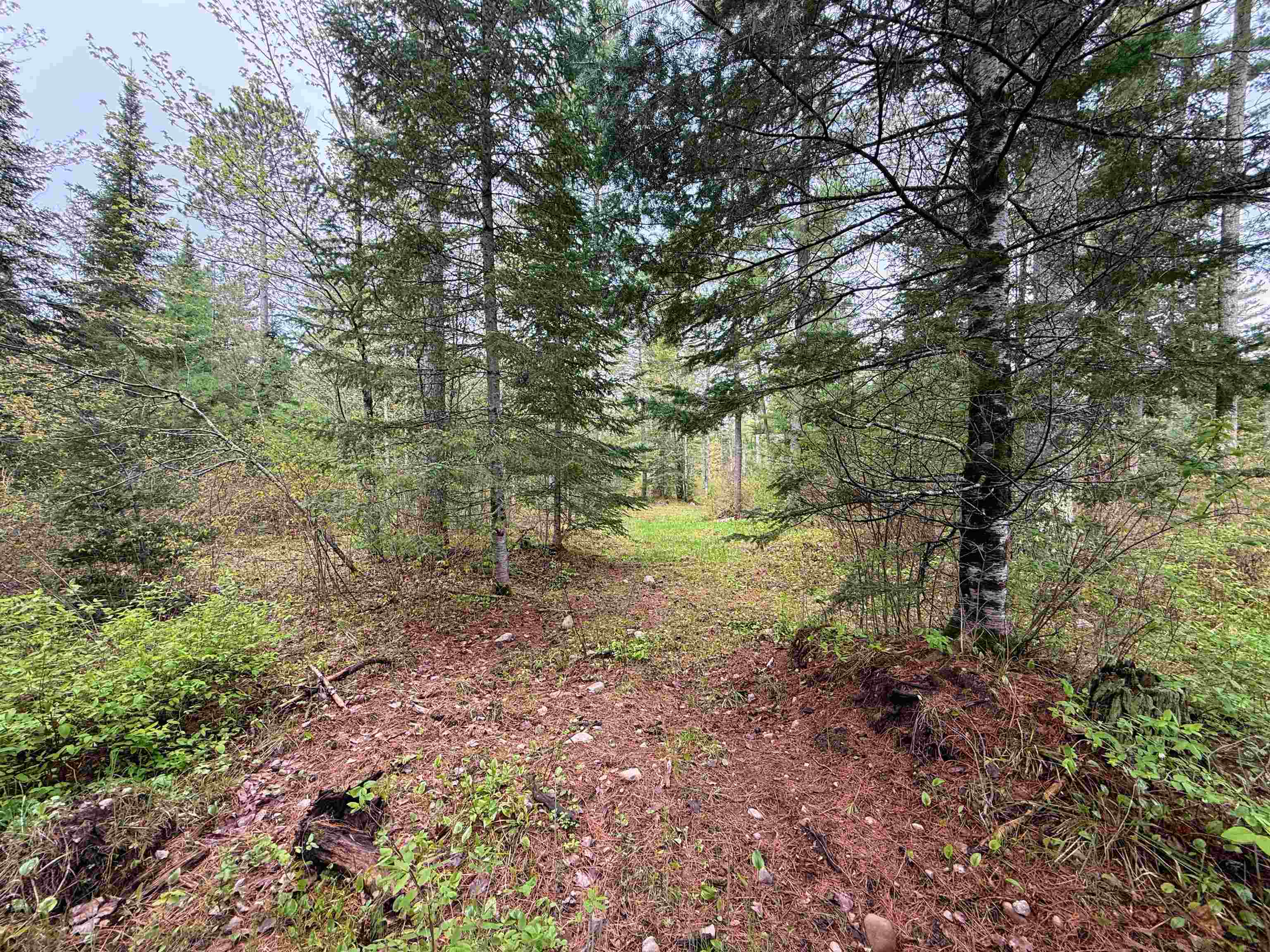 On BEARSKULL ROAD, Park Falls, Wisconsin 54552, ,Land,For Sale,On BEARSKULL ROAD,22602231
