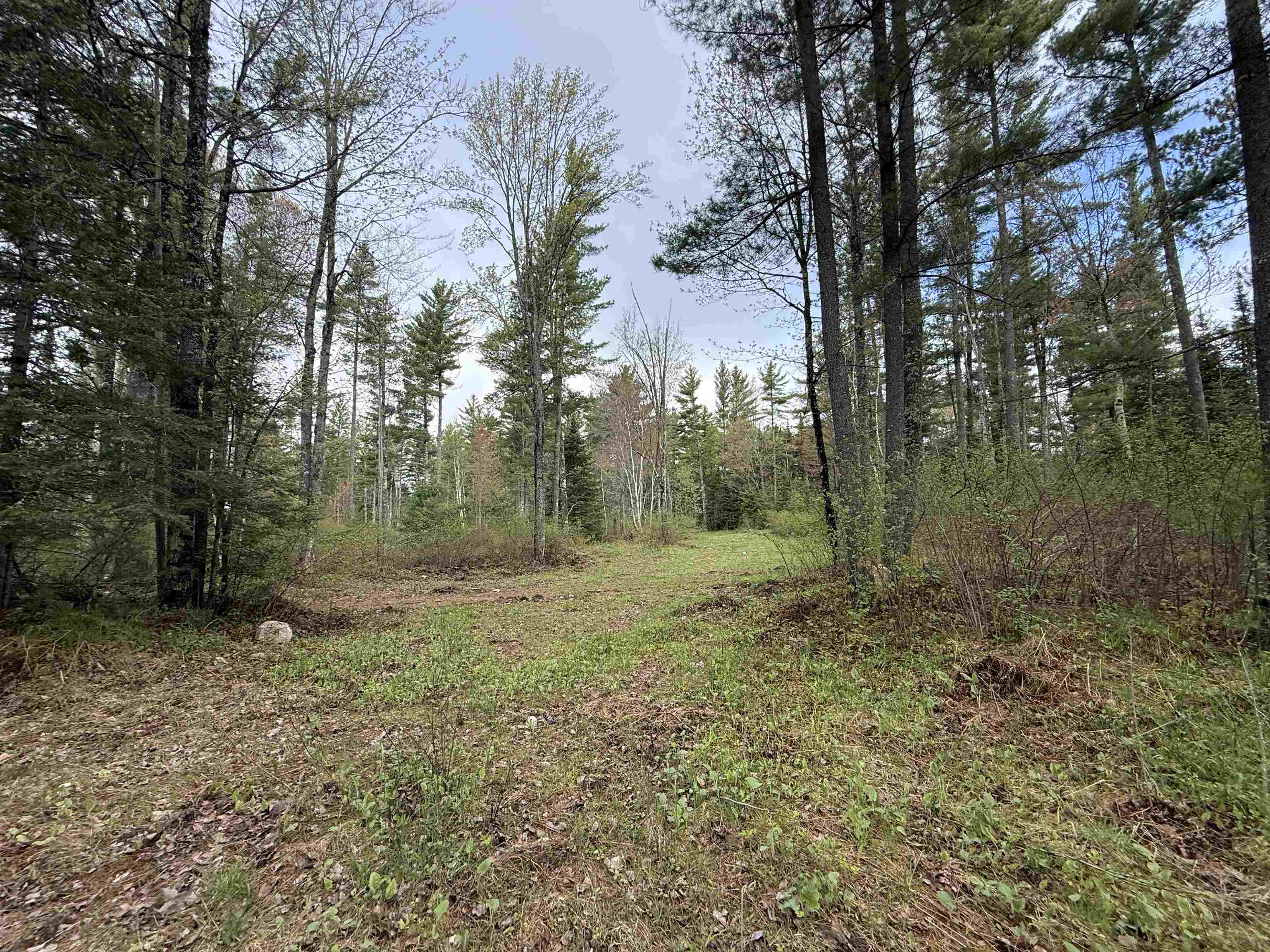 On BEARSKULL ROAD, Park Falls, Wisconsin 54552, ,Land,For Sale,On BEARSKULL ROAD,22602231