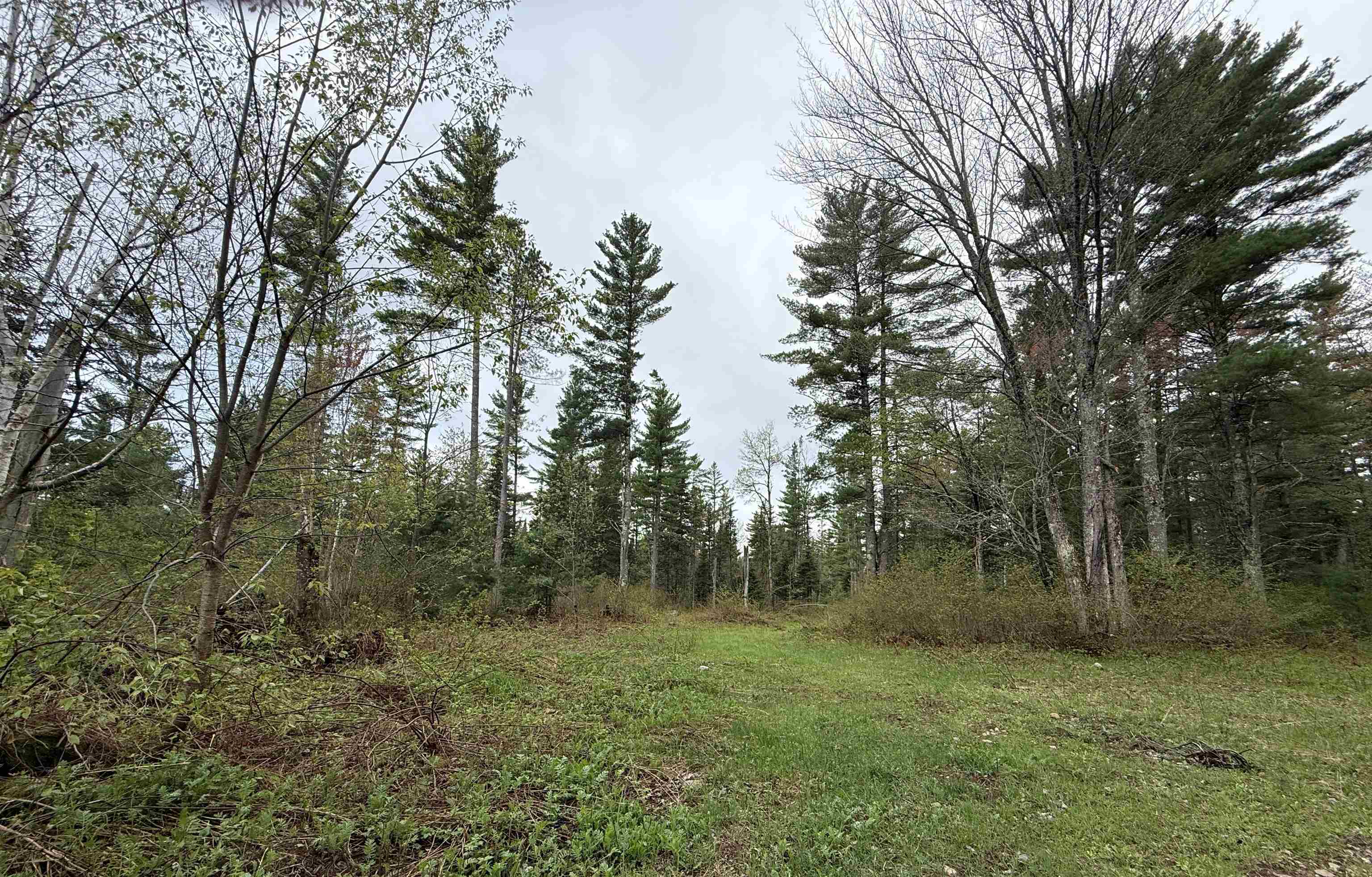 On BEARSKULL ROAD, Park Falls, Wisconsin 54552, ,Land,For Sale,On BEARSKULL ROAD,22602231