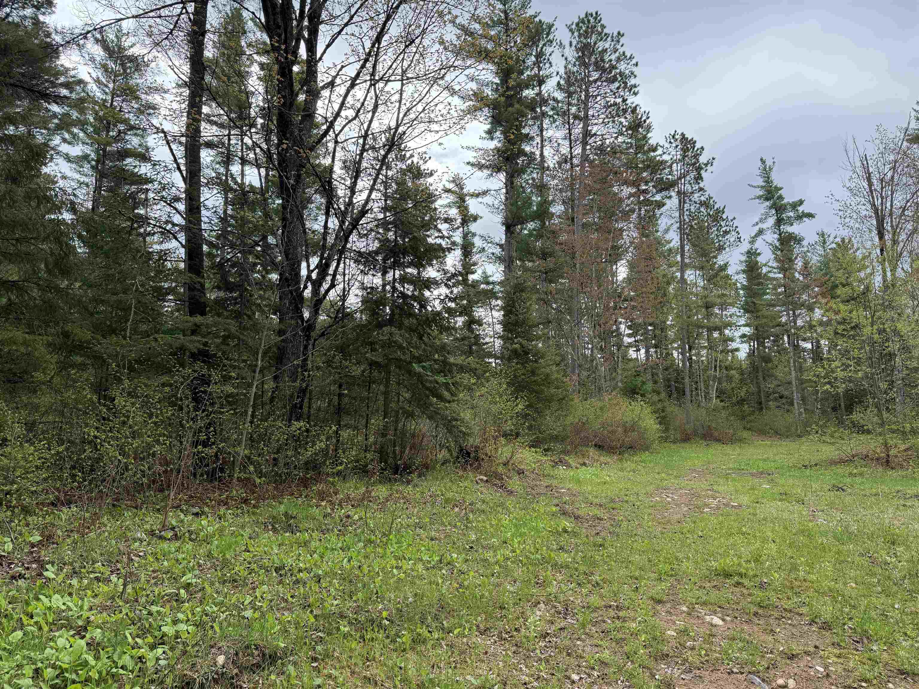 On BEARSKULL ROAD, Park Falls, Wisconsin 54552, ,Land,For Sale,On BEARSKULL ROAD,22602231