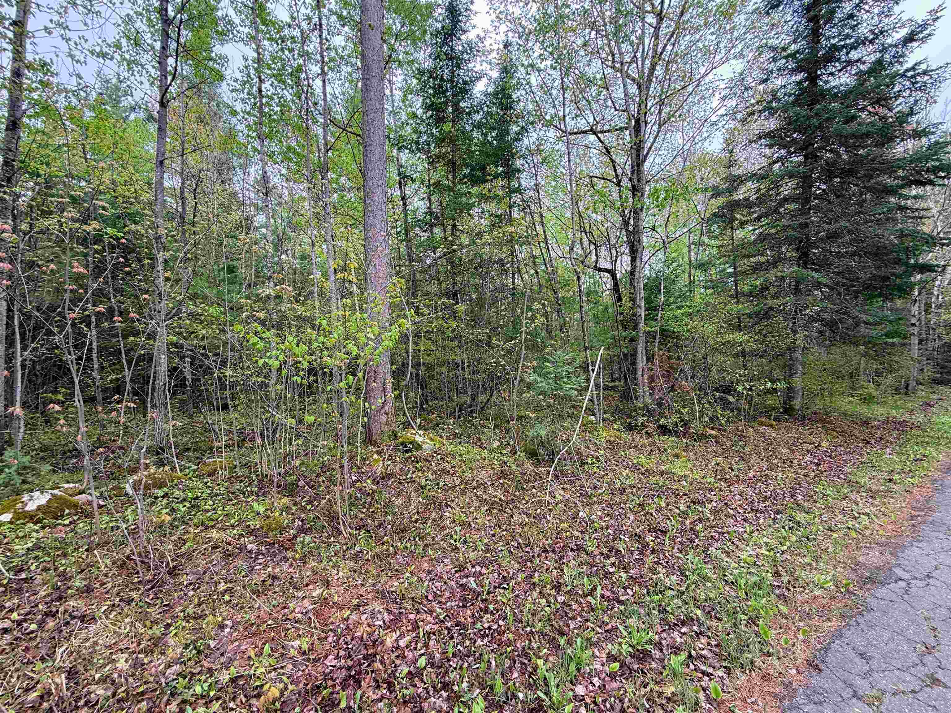 On BEARSKULL ROAD, Park Falls, Wisconsin 54552, ,Land,For Sale,On BEARSKULL ROAD,22602231