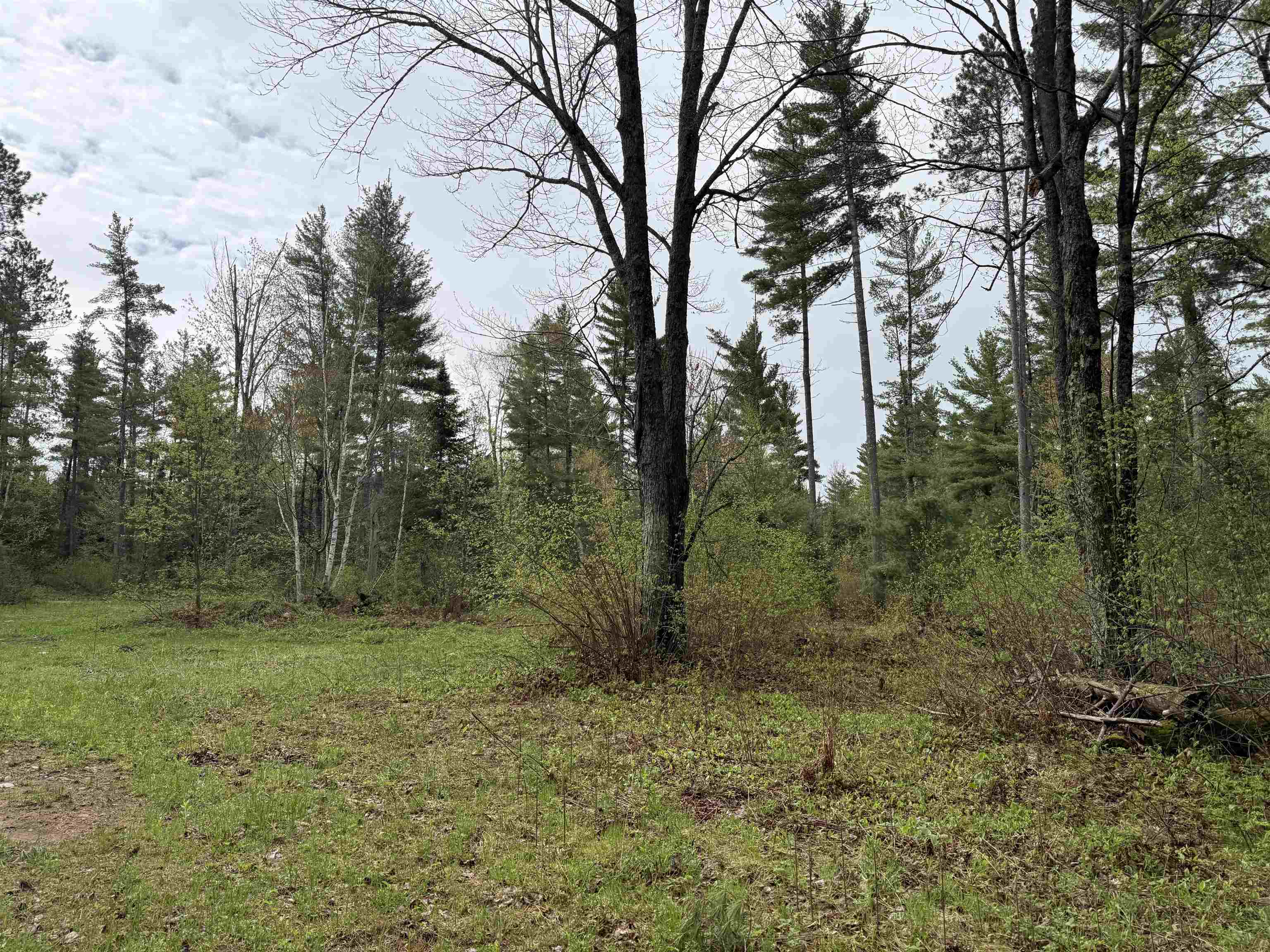 On BEARSKULL ROAD, Park Falls, Wisconsin 54552, ,Land,For Sale,On BEARSKULL ROAD,22602231