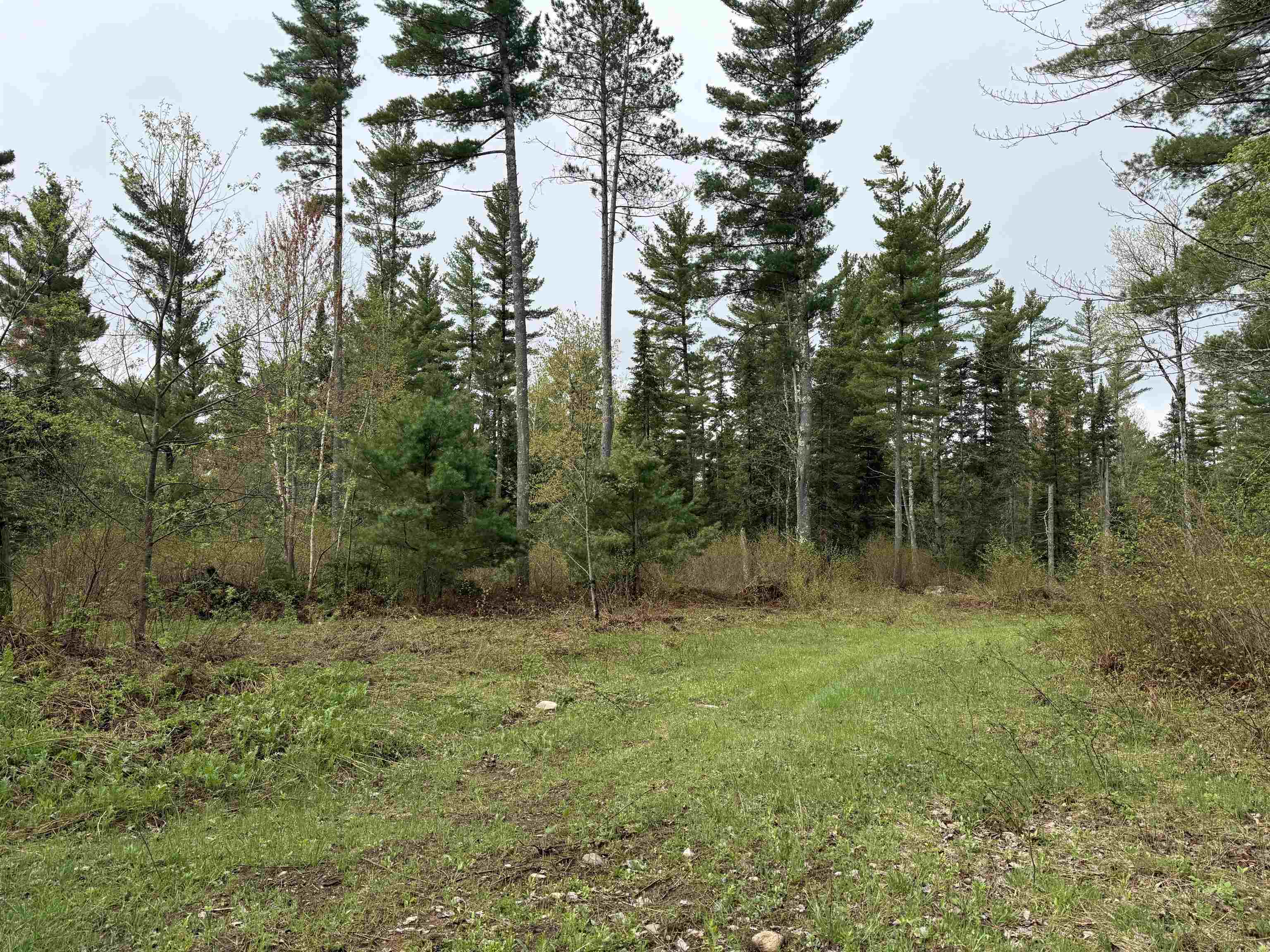 On BEARSKULL ROAD, Park Falls, Wisconsin 54552, ,Land,For Sale,On BEARSKULL ROAD,22602231