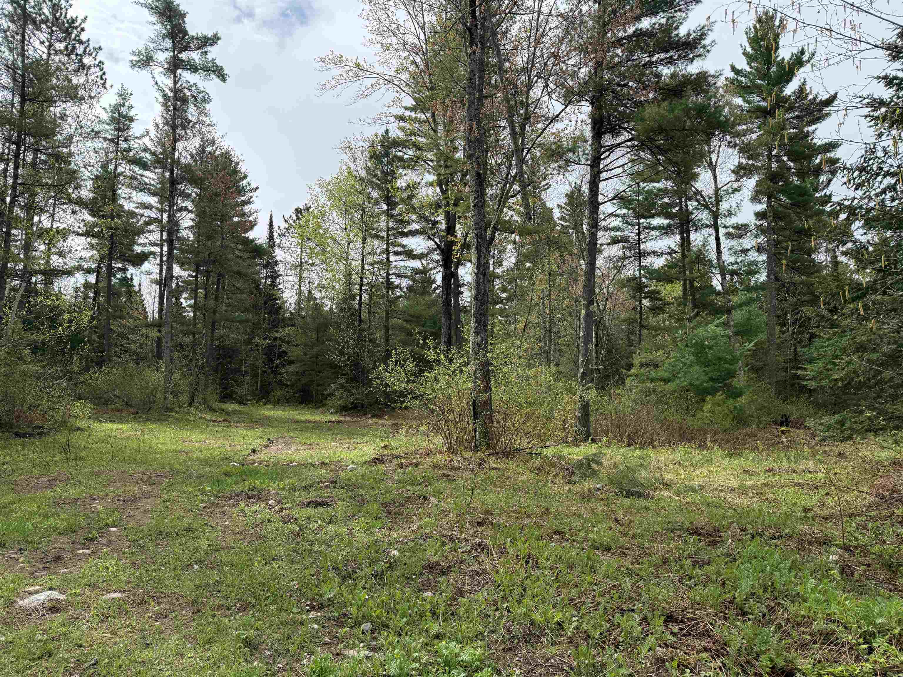 On BEARSKULL ROAD, Park Falls, Wisconsin 54552, ,Land,For Sale,On BEARSKULL ROAD,22602231