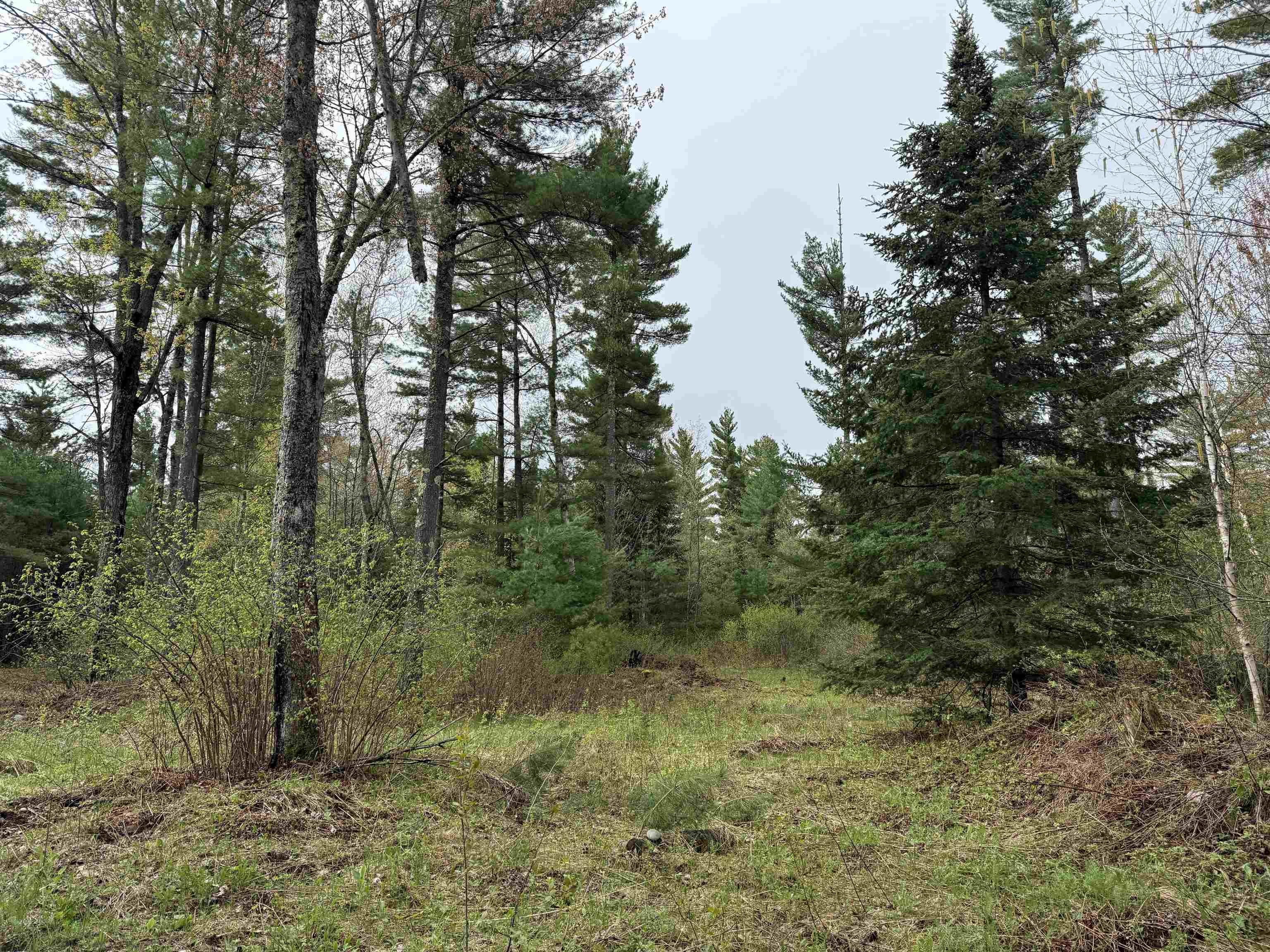 On BEARSKULL ROAD, Park Falls, Wisconsin 54552, ,Land,For Sale,On BEARSKULL ROAD,22602231