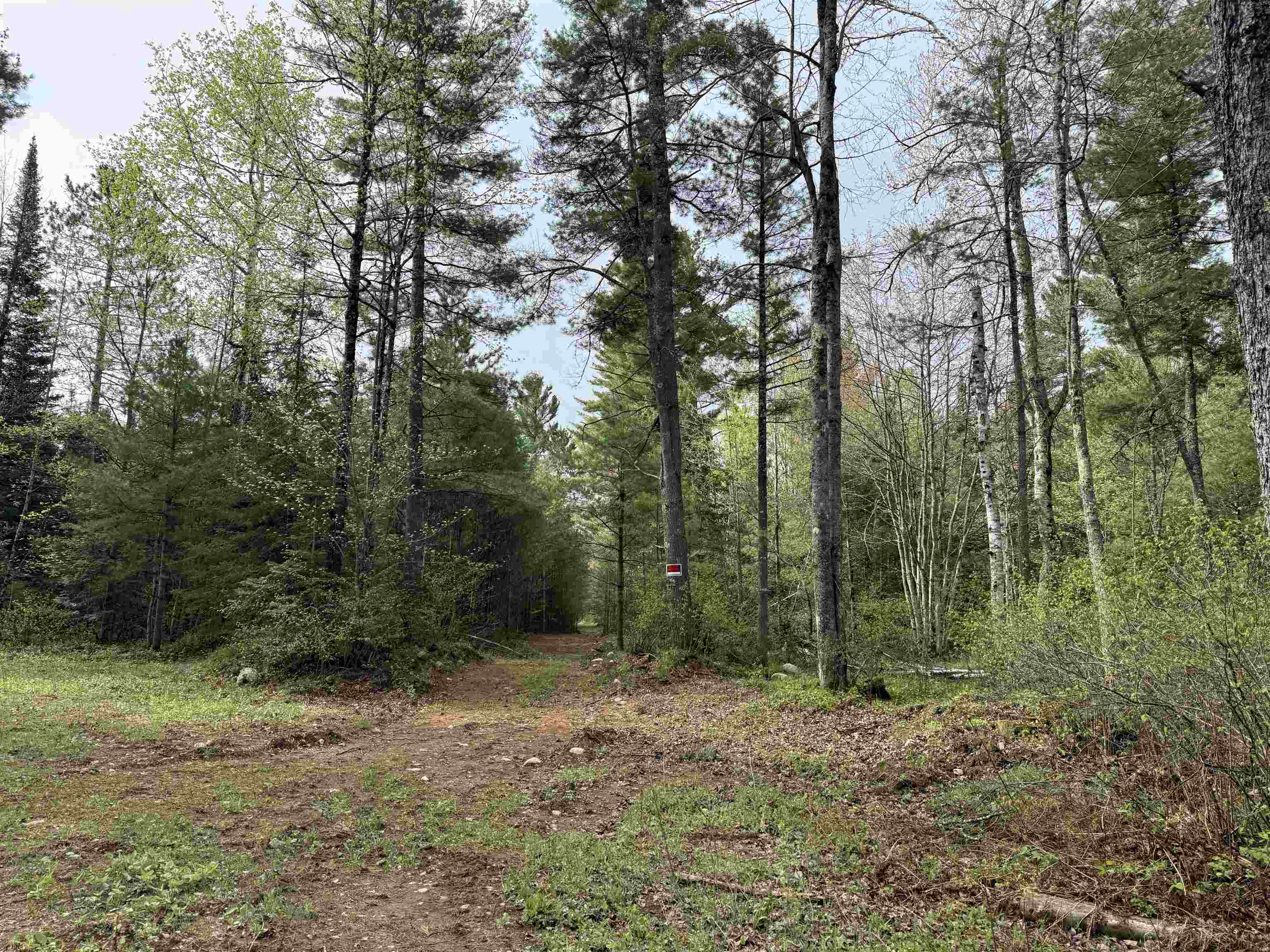 On BEARSKULL ROAD, Park Falls, Wisconsin 54552, ,Land,For Sale,On BEARSKULL ROAD,22602231