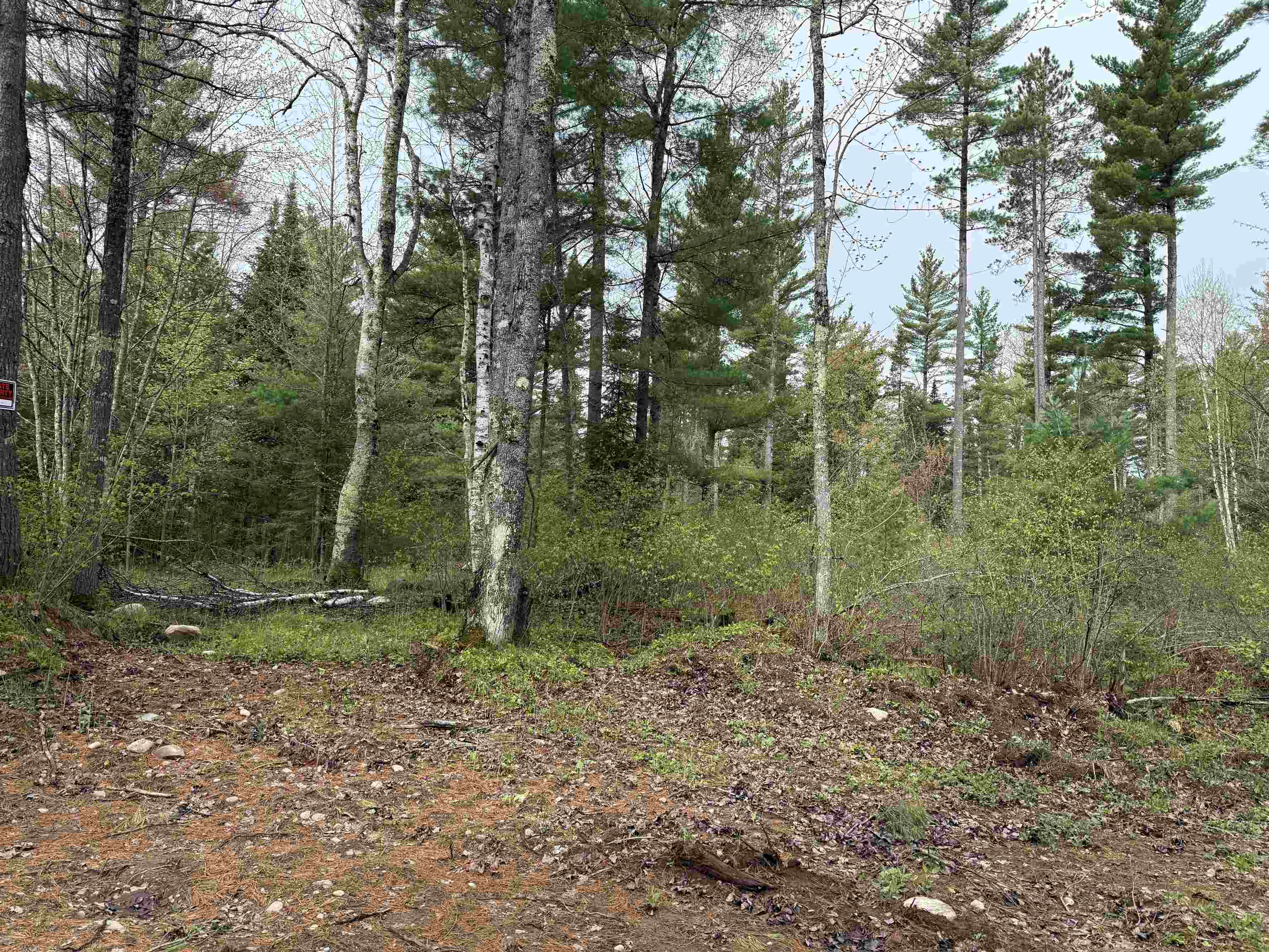 On BEARSKULL ROAD, Park Falls, Wisconsin 54552, ,Land,For Sale,On BEARSKULL ROAD,22602231