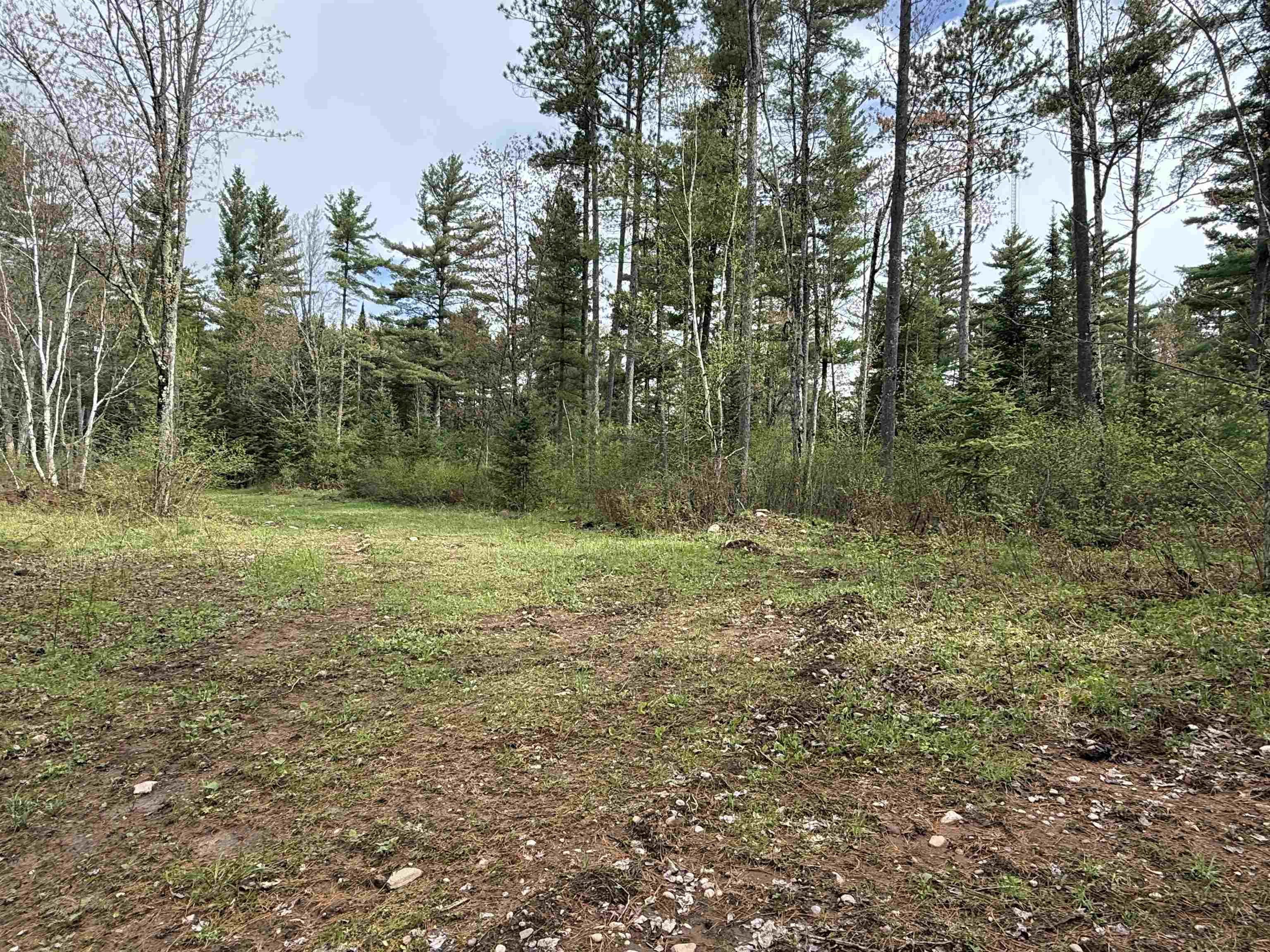 On BEARSKULL ROAD, Park Falls, Wisconsin 54552, ,Land,For Sale,On BEARSKULL ROAD,22602231
