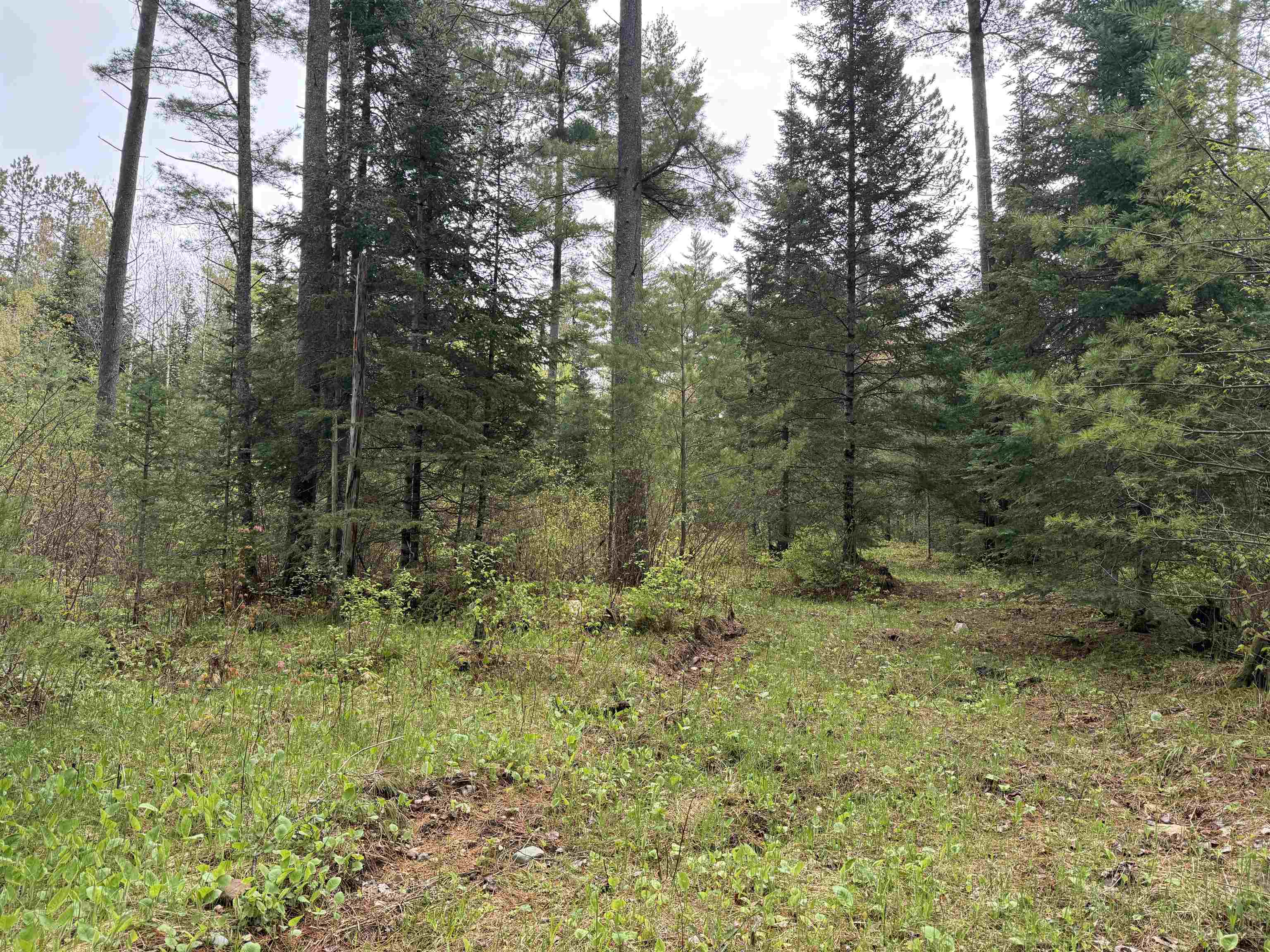 On BEARSKULL ROAD, Park Falls, Wisconsin 54552, ,Land,For Sale,On BEARSKULL ROAD,22602231
