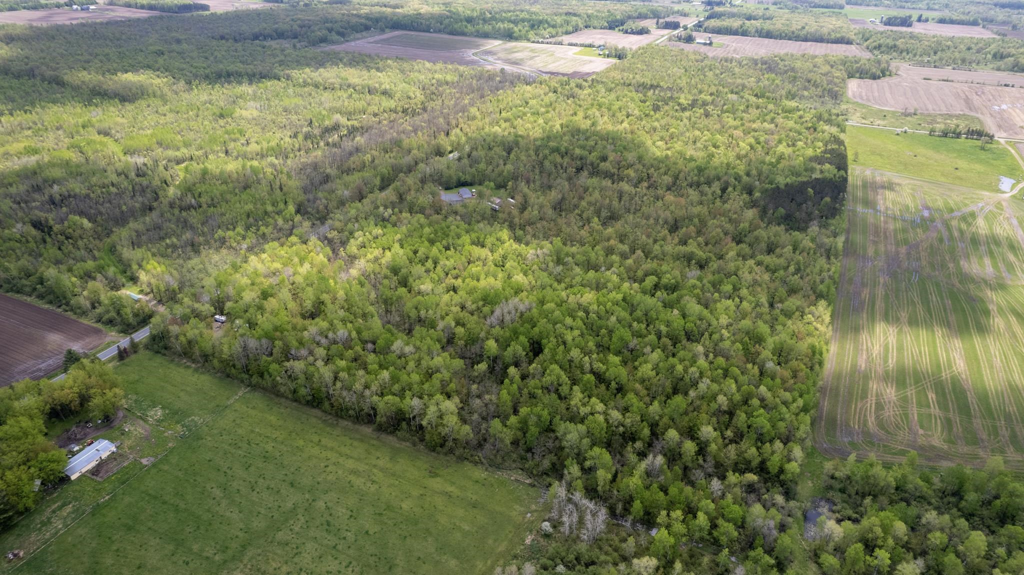 COUNTY ROAD DD, Withee, Wisconsin 54498, ,Land,For Sale,COUNTY ROAD DD,22602234