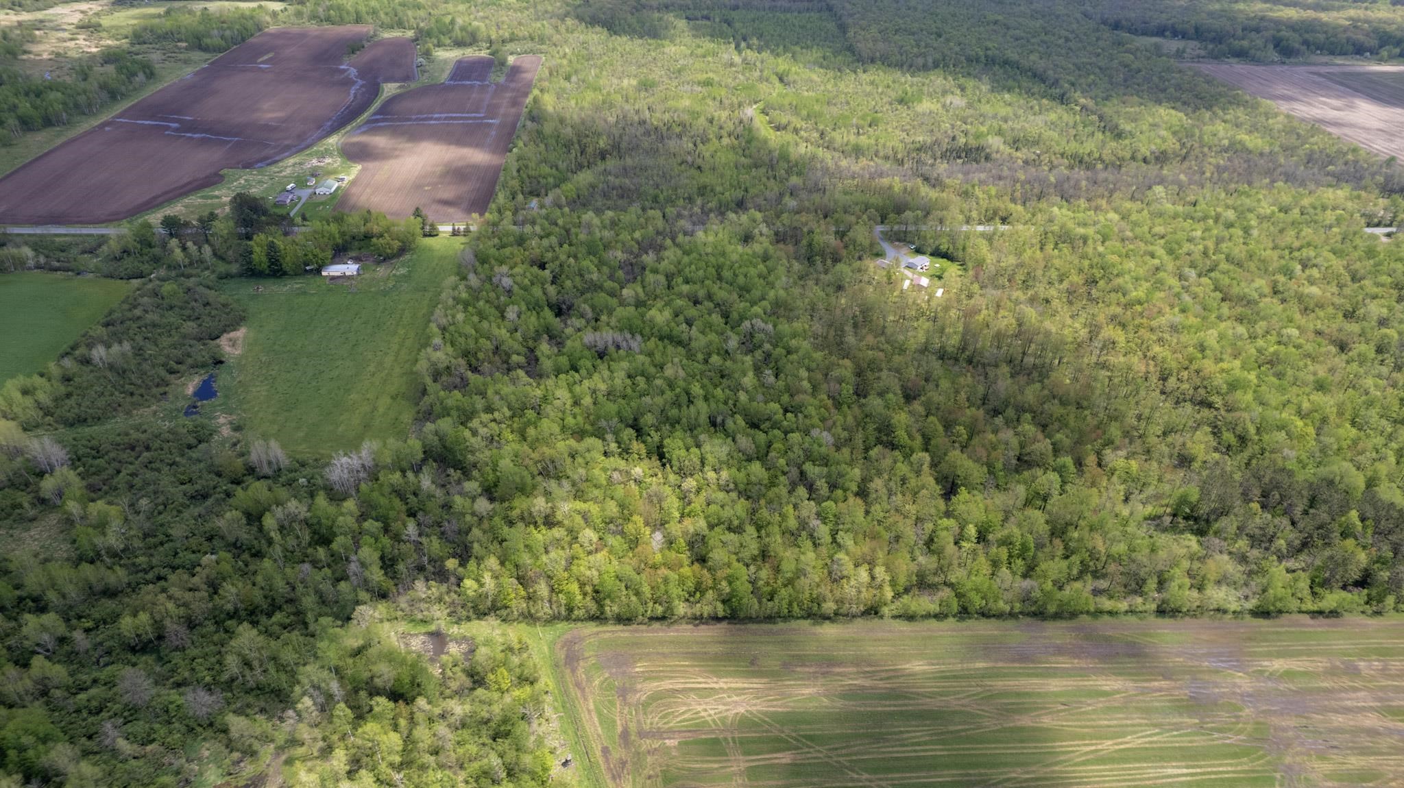 COUNTY ROAD DD, Withee, Wisconsin 54498, ,Land,For Sale,COUNTY ROAD DD,22602234