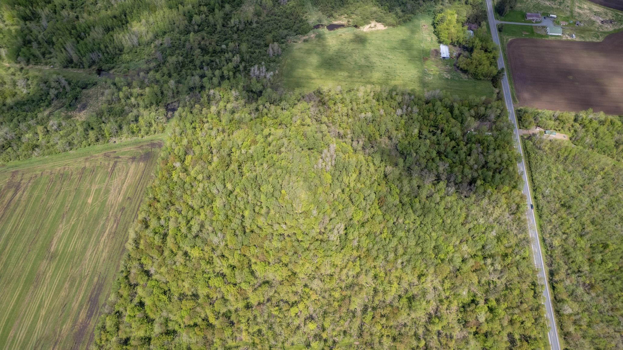 COUNTY ROAD DD, Withee, Wisconsin 54498, ,Land,For Sale,COUNTY ROAD DD,22602234