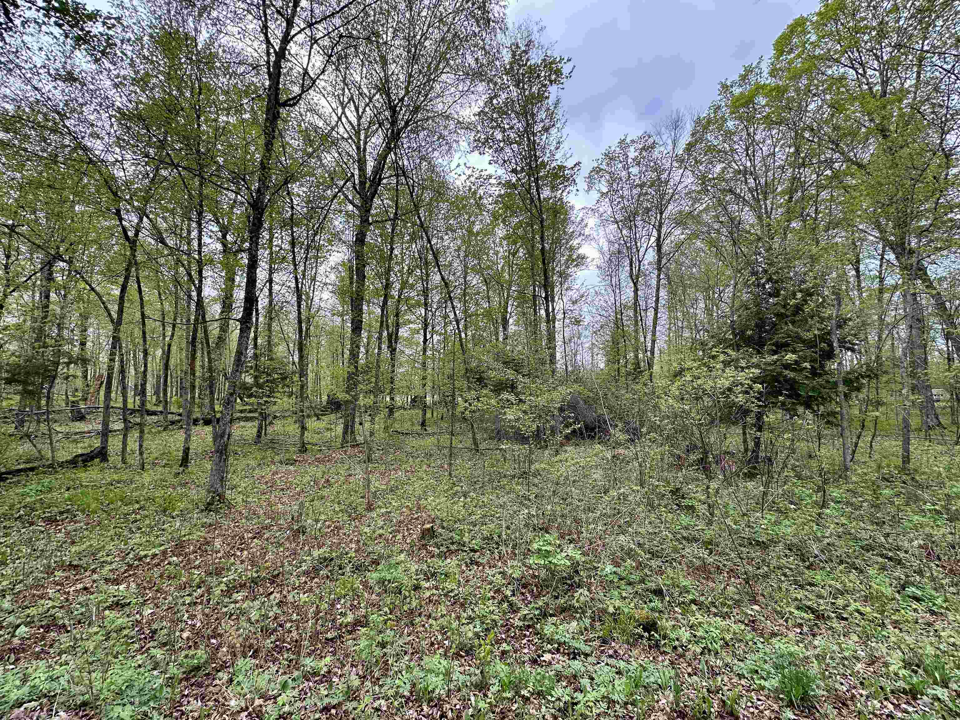 Lot 61 CHIP N DALE DRIVE, Pickerel, Wisconsin 54465, ,Land,For Sale,Lot 61 CHIP N DALE DRIVE,22602238