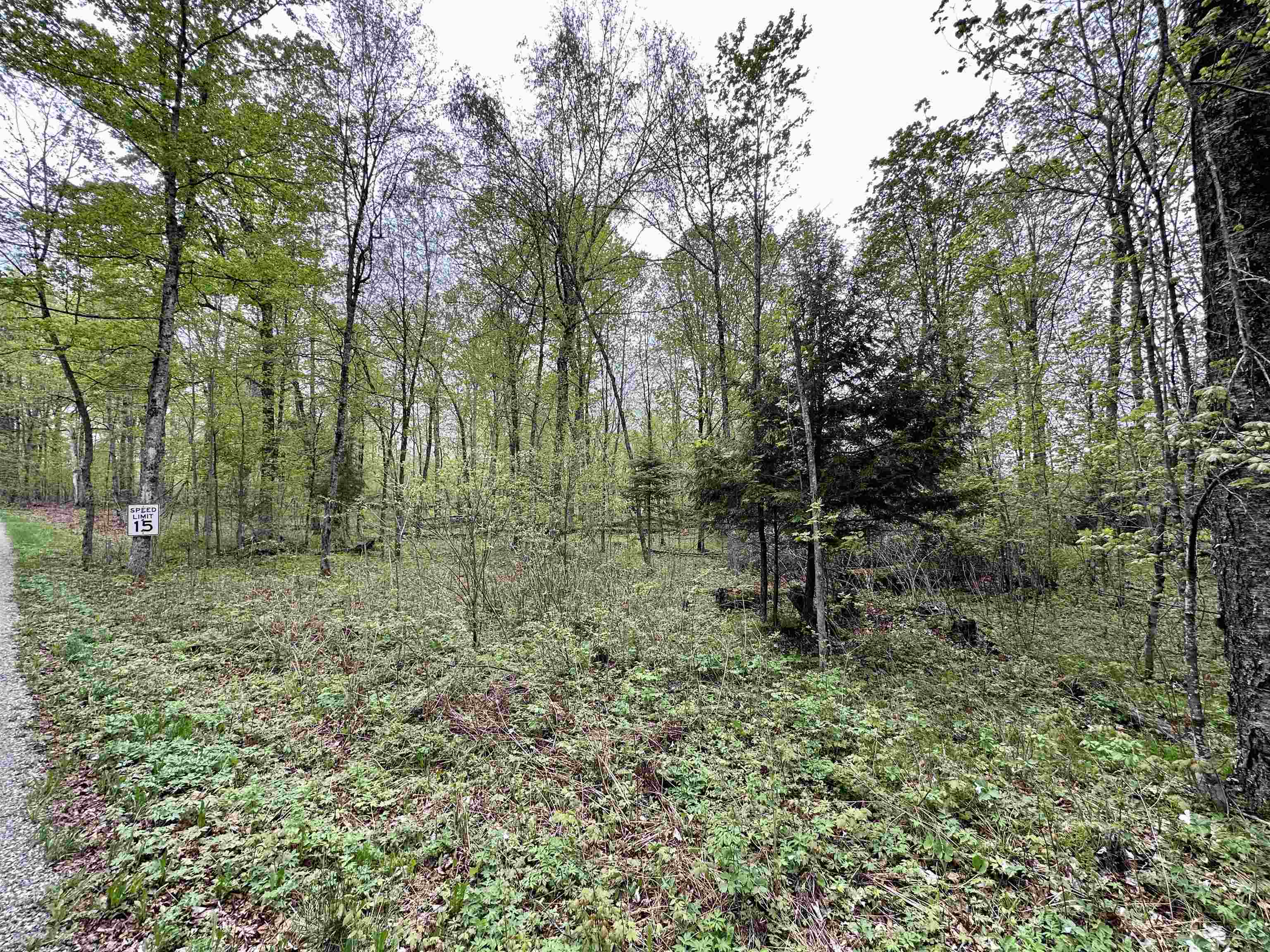 Lot 61 CHIP N DALE DRIVE, Pickerel, Wisconsin 54465, ,Land,For Sale,Lot 61 CHIP N DALE DRIVE,22602238