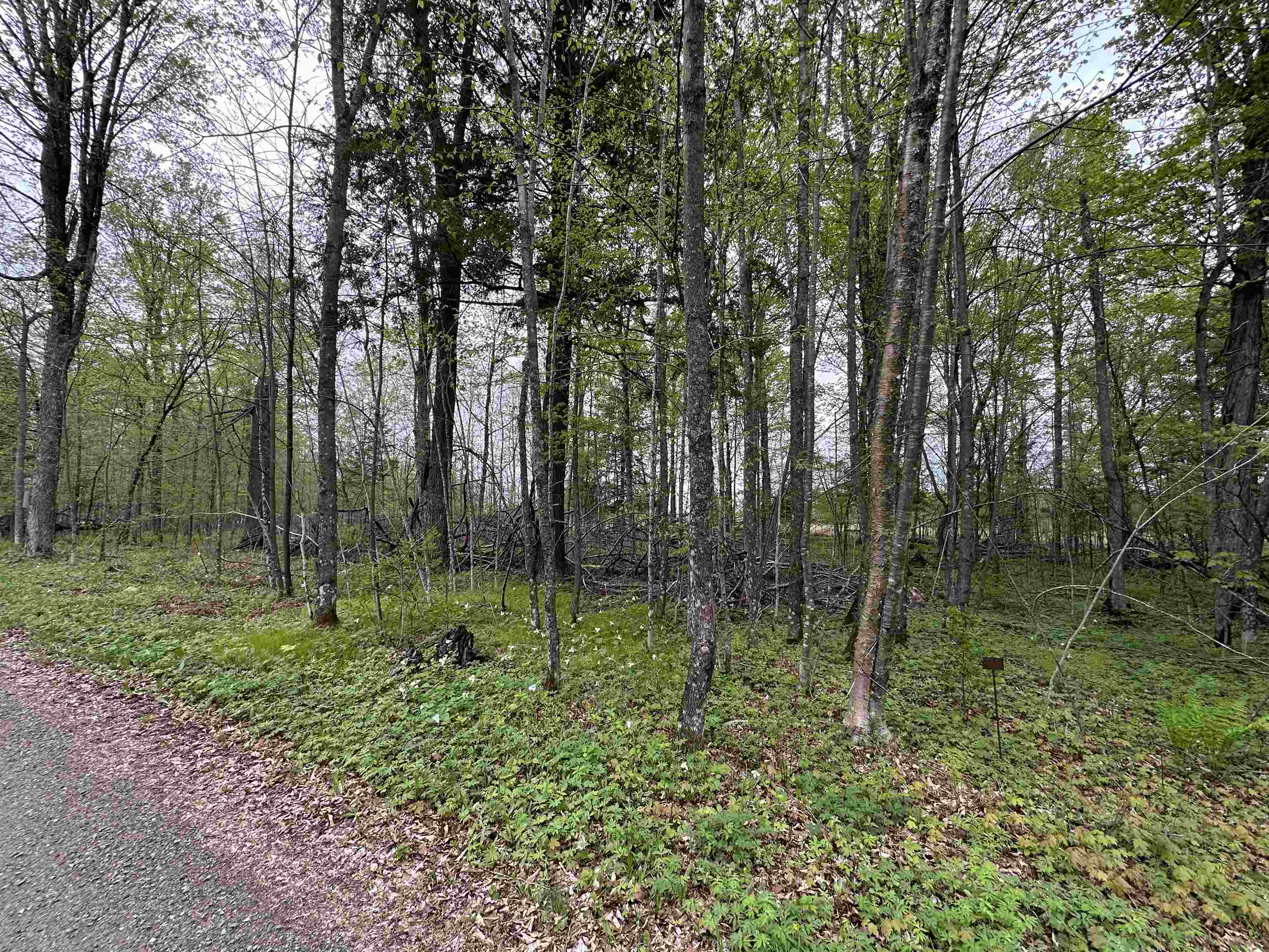 Lot 36 FAIRWAY DRIVE, Pickerel, Wisconsin 54465, ,Land,For Sale,Lot 36 FAIRWAY DRIVE,22602239