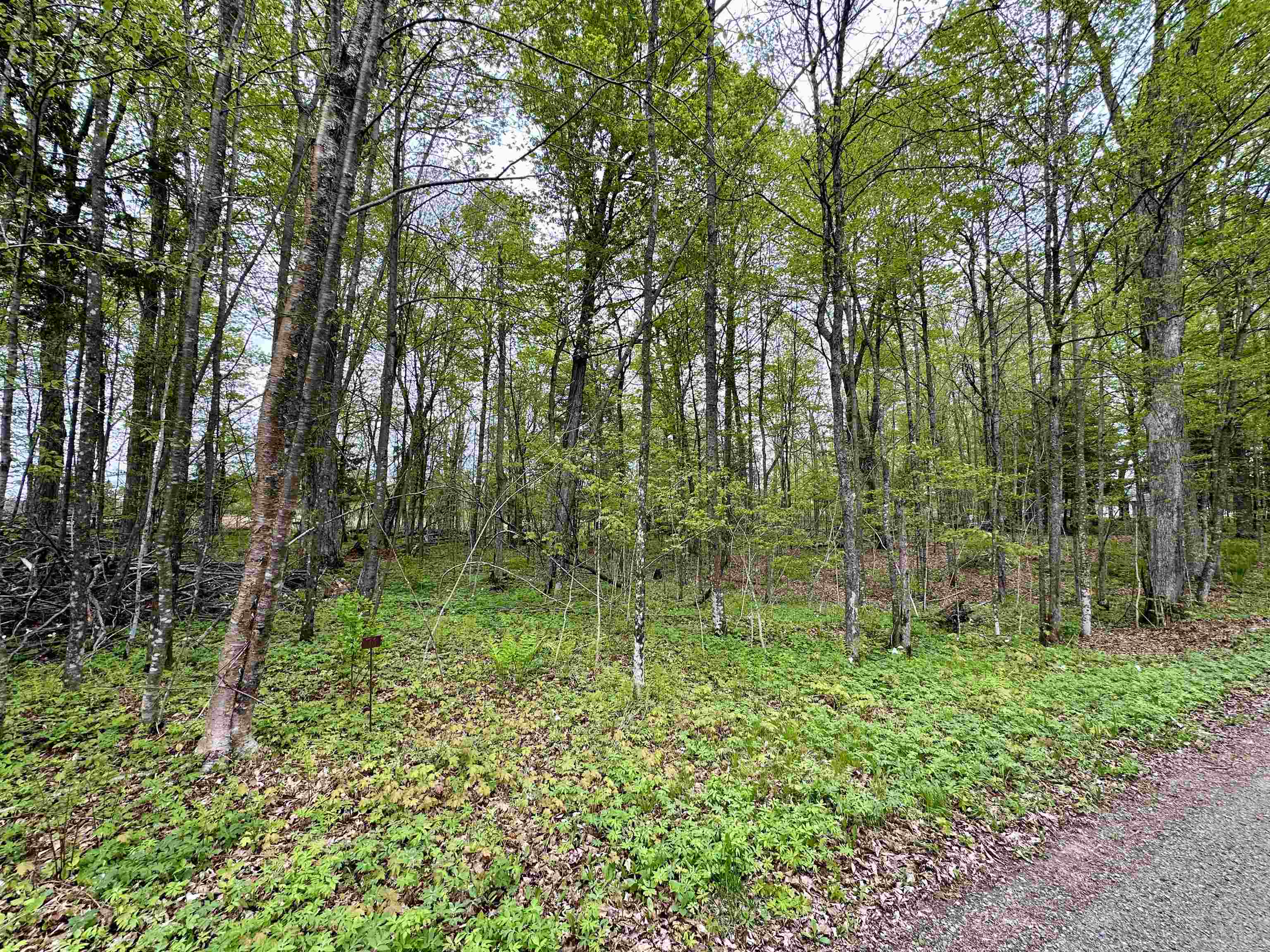 Lot 36 FAIRWAY DRIVE, Pickerel, Wisconsin 54465, ,Land,For Sale,Lot 36 FAIRWAY DRIVE,22602239