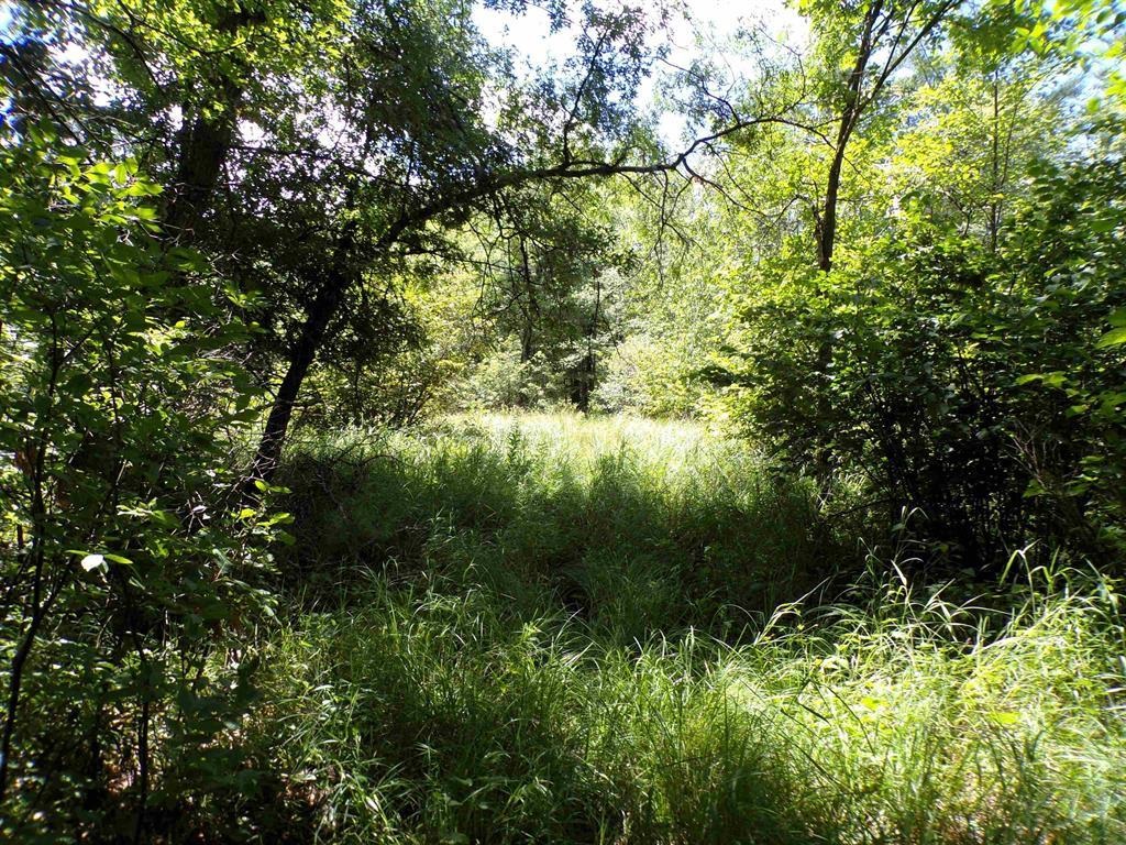 W11515 STATE HIGHWAY 95, ALMA CENTER, Wisconsin 54611, 2 Bedrooms Bedrooms, ,1 BathroomBathrooms,Residential,For Sale,W11515 STATE HIGHWAY 95,22602241
