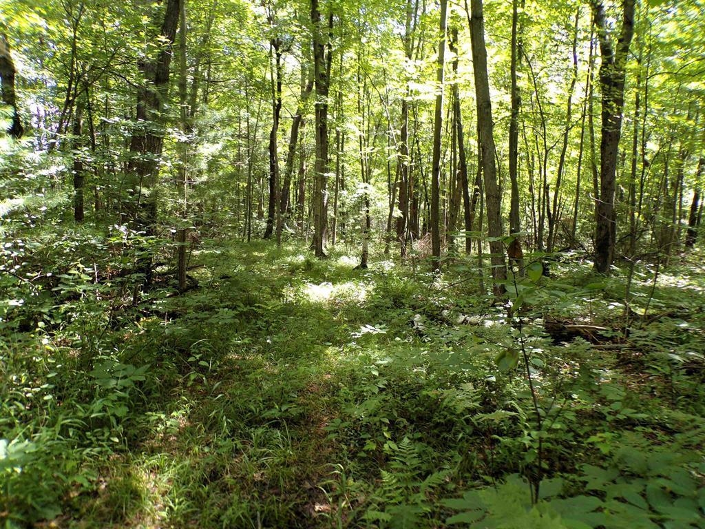 W11515 STATE HIGHWAY 95, ALMA CENTER, Wisconsin 54611, 2 Bedrooms Bedrooms, ,1 BathroomBathrooms,Residential,For Sale,W11515 STATE HIGHWAY 95,22602241