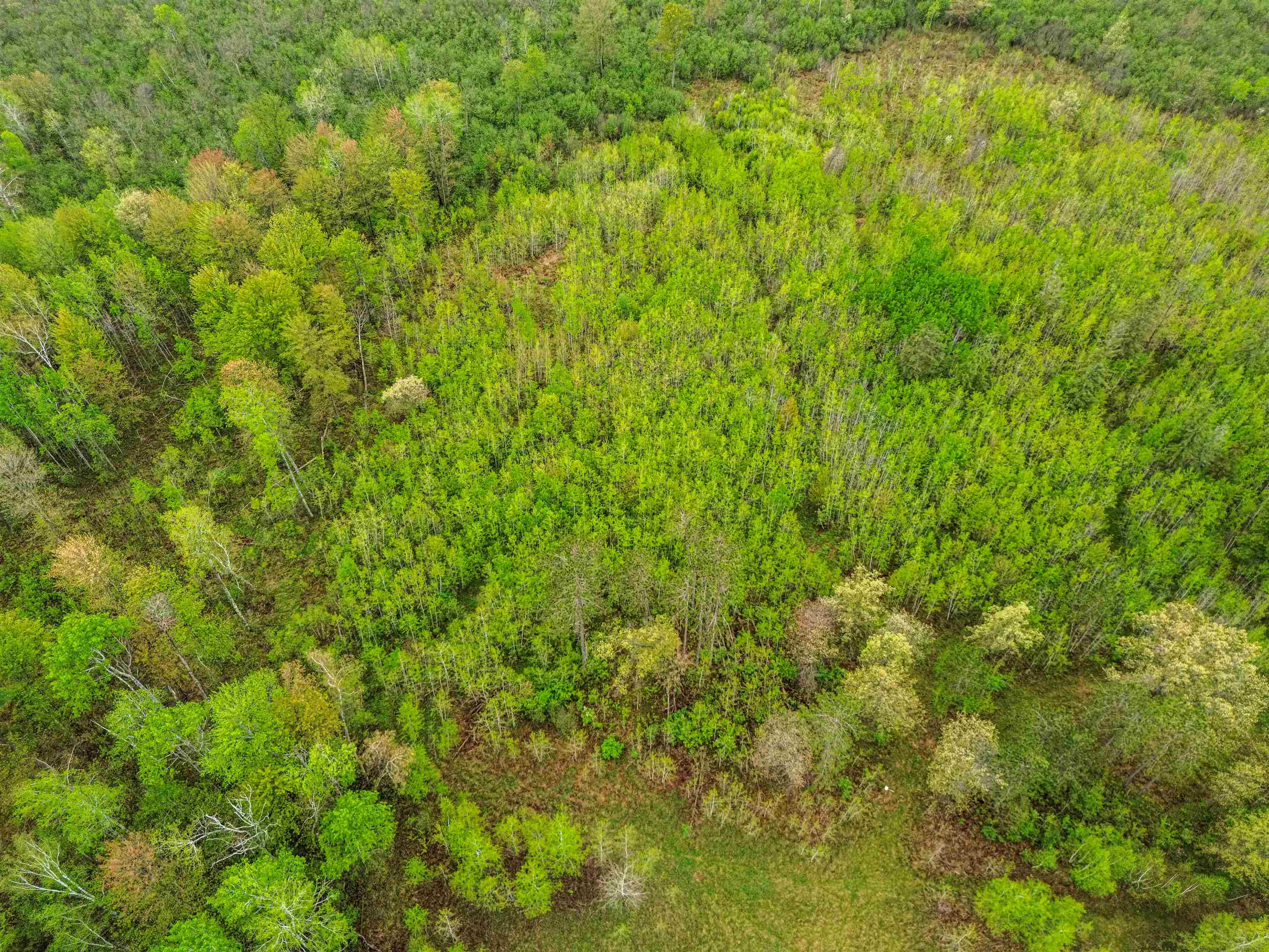 0000 WOODSMOKE ROAD, Wausau, Wisconsin 54401, ,Land,For Sale,0000 WOODSMOKE ROAD,22602249