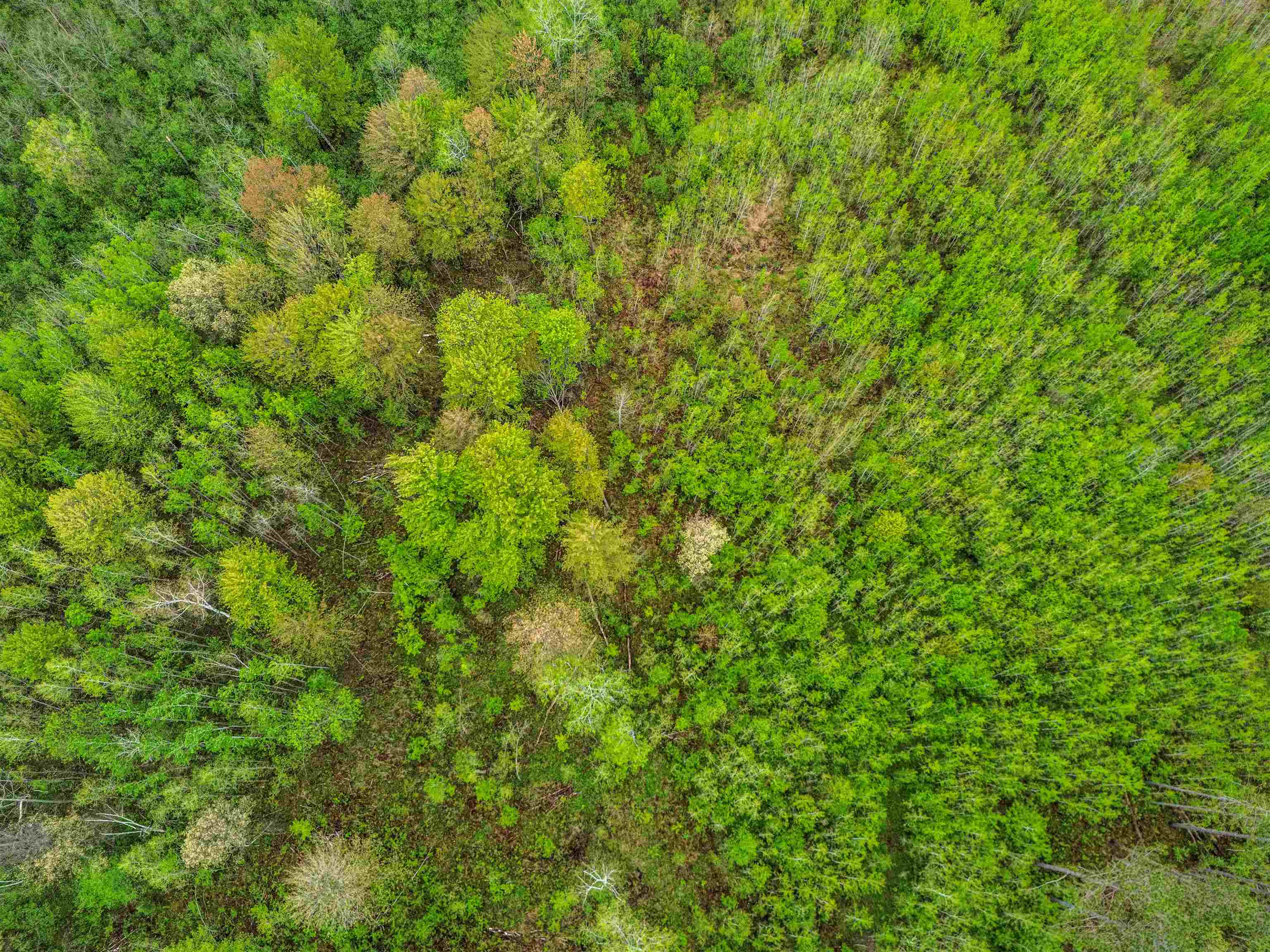 0000 WOODSMOKE ROAD, Wausau, Wisconsin 54401, ,Land,For Sale,0000 WOODSMOKE ROAD,22602249