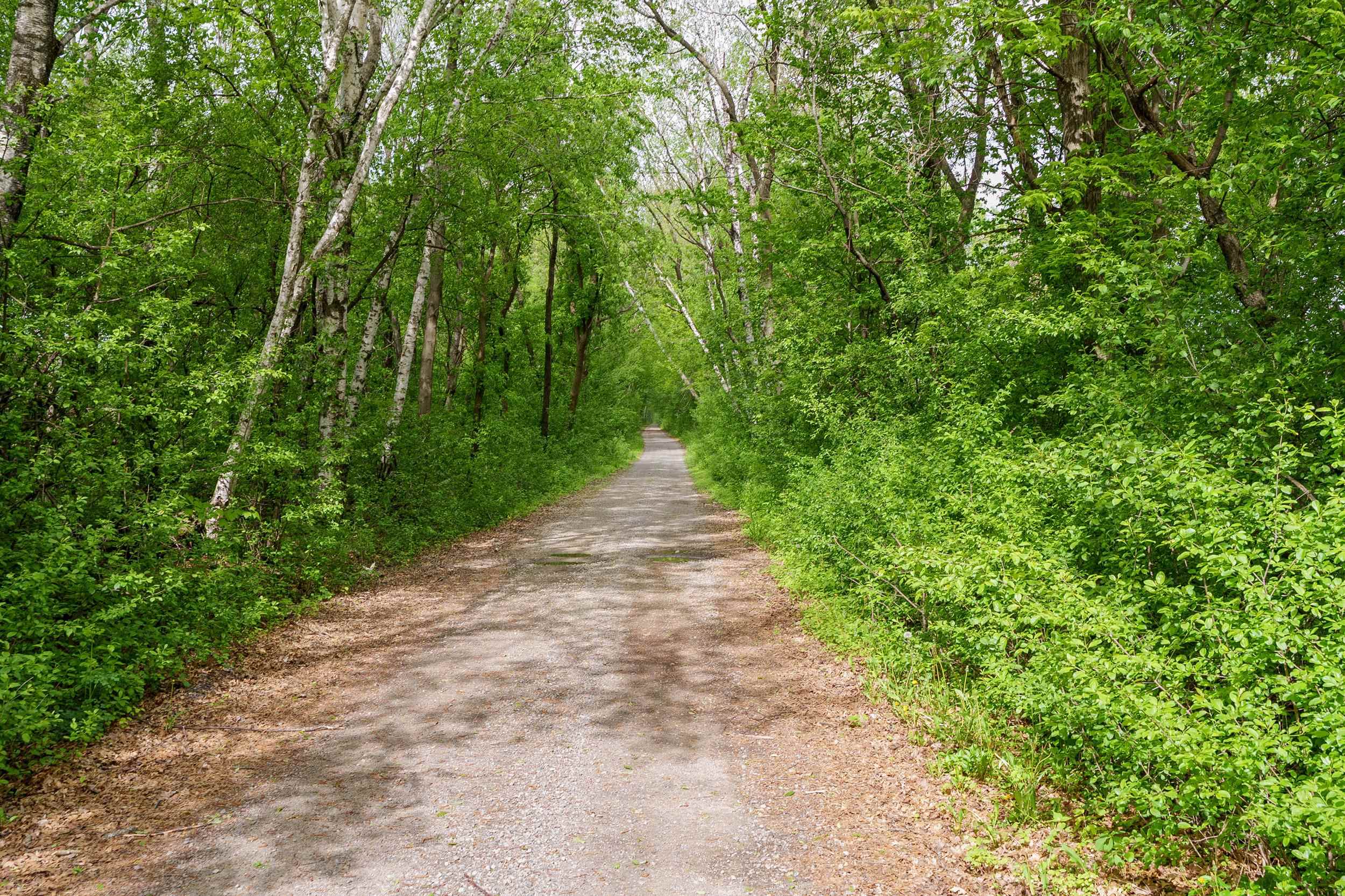 0 MCGOWER ROAD, Fairchild, Wisconsin 54741, ,Land,For Sale,0 MCGOWER ROAD,22602263