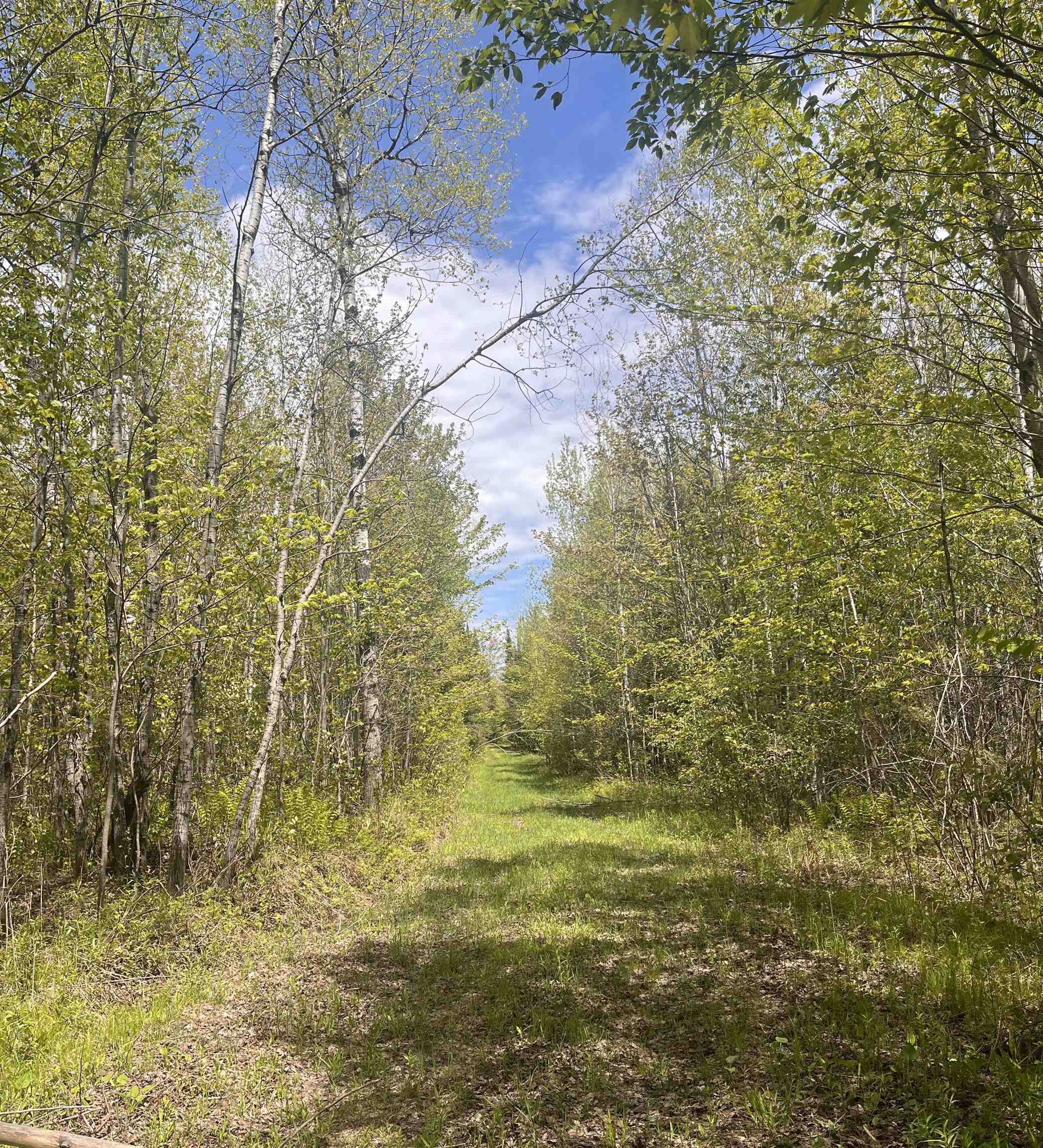 80 acres CLAUSEN ROAD, Prentice, Wisconsin 54556, ,Land,For Sale,80 acres CLAUSEN ROAD,22602269