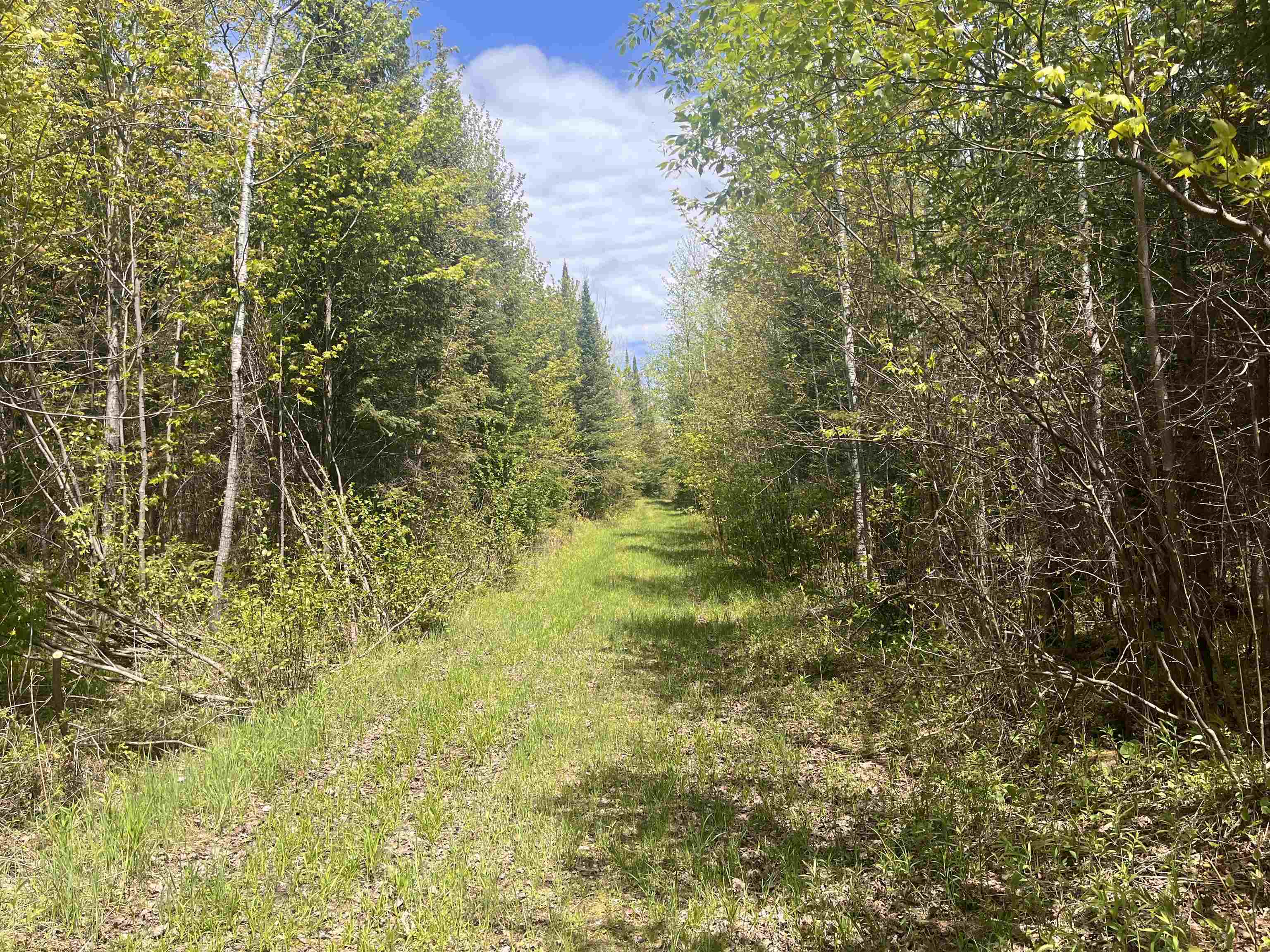 80 acres CLAUSEN ROAD, Prentice, Wisconsin 54556, ,Land,For Sale,80 acres CLAUSEN ROAD,22602269