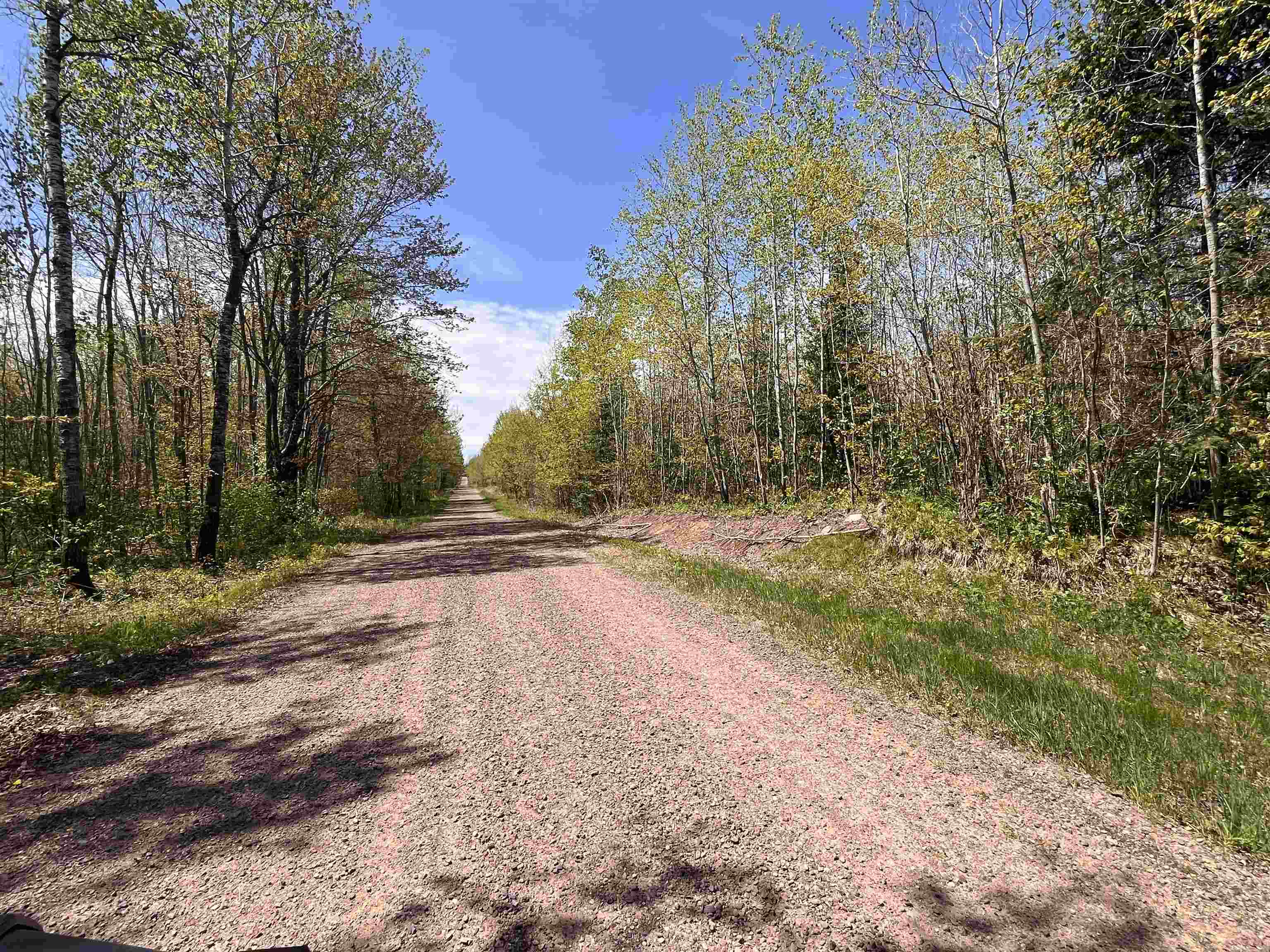 80 acres CLAUSEN ROAD, Prentice, Wisconsin 54556, ,Land,For Sale,80 acres CLAUSEN ROAD,22602269
