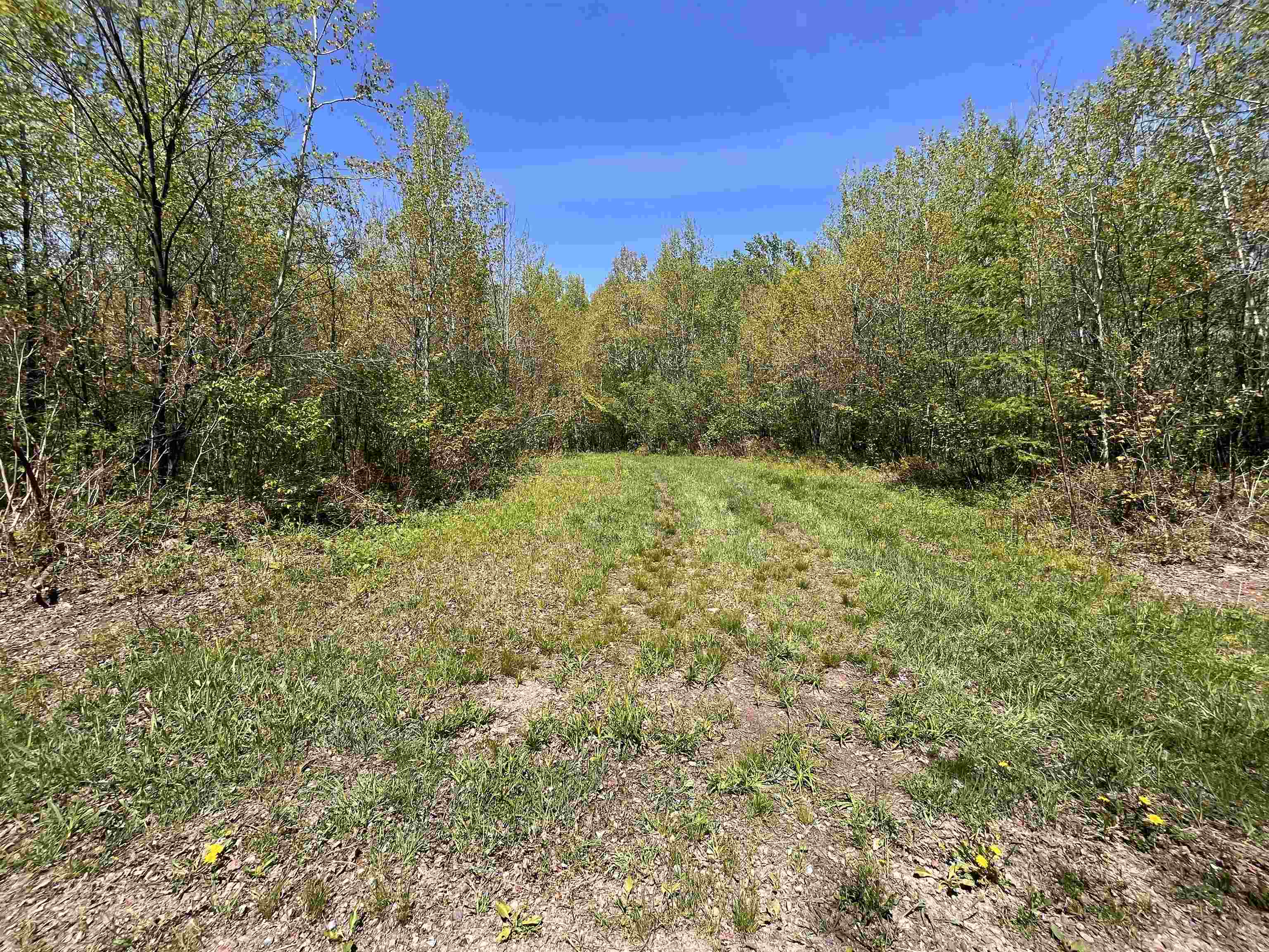 80 acres CLAUSEN ROAD, Prentice, Wisconsin 54556, ,Land,For Sale,80 acres CLAUSEN ROAD,22602269