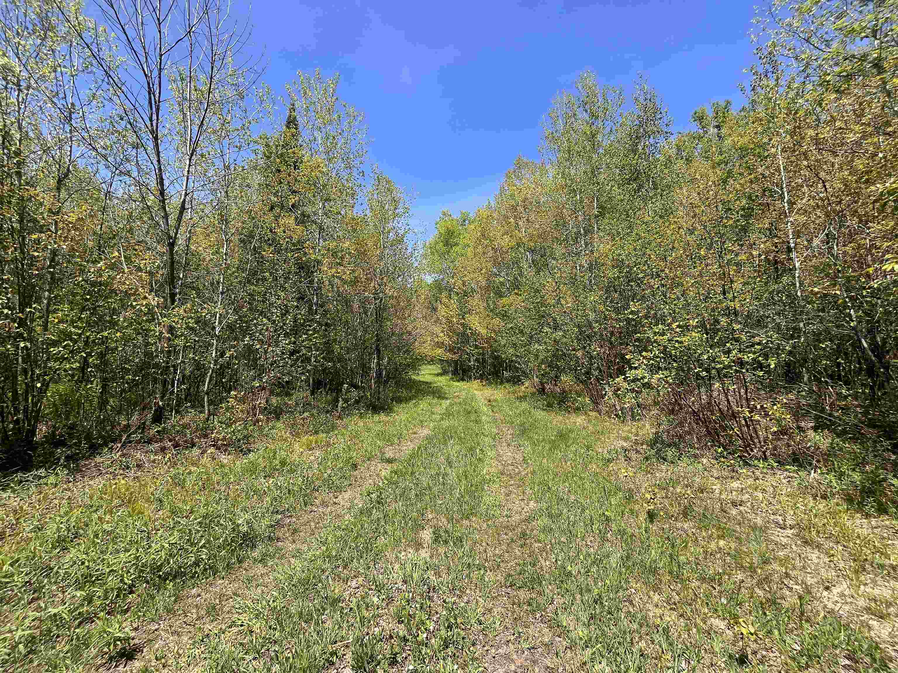 80 acres CLAUSEN ROAD, Prentice, Wisconsin 54556, ,Land,For Sale,80 acres CLAUSEN ROAD,22602269