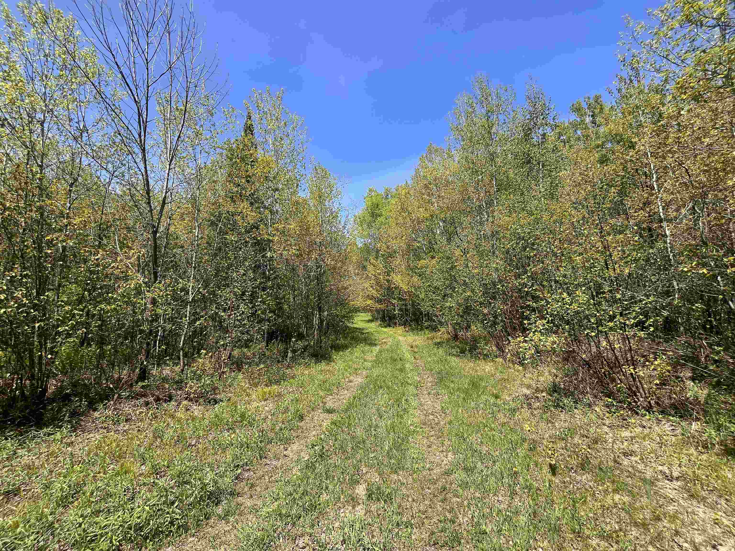 80 acres CLAUSEN ROAD, Prentice, Wisconsin 54556, ,Land,For Sale,80 acres CLAUSEN ROAD,22602269